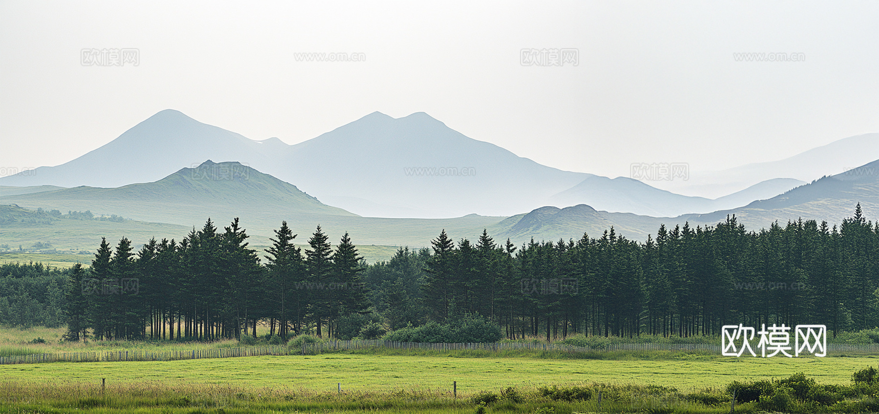 现代户外森林大山外景