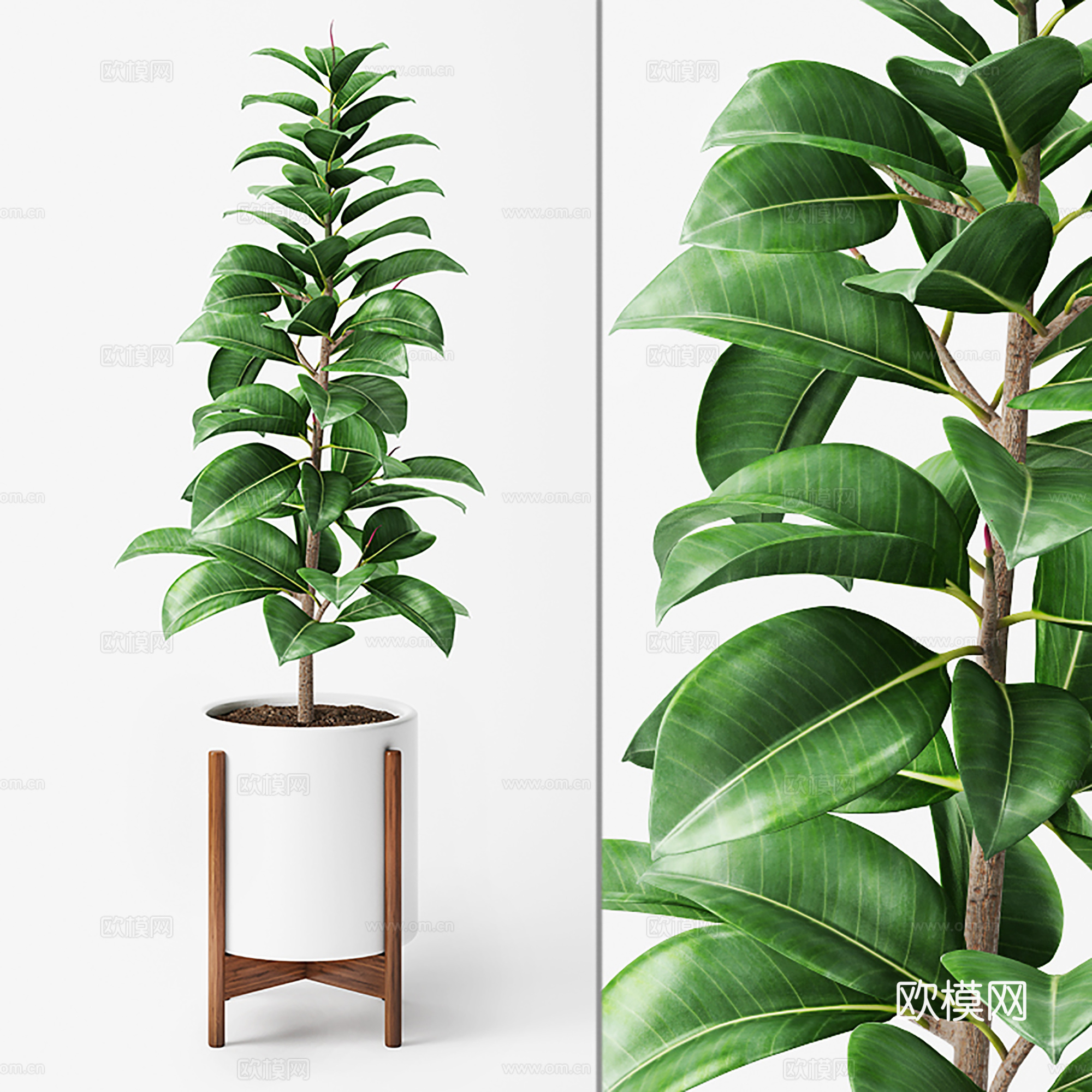 现代盆栽盆景  绿植盆栽  室内绿植su模型