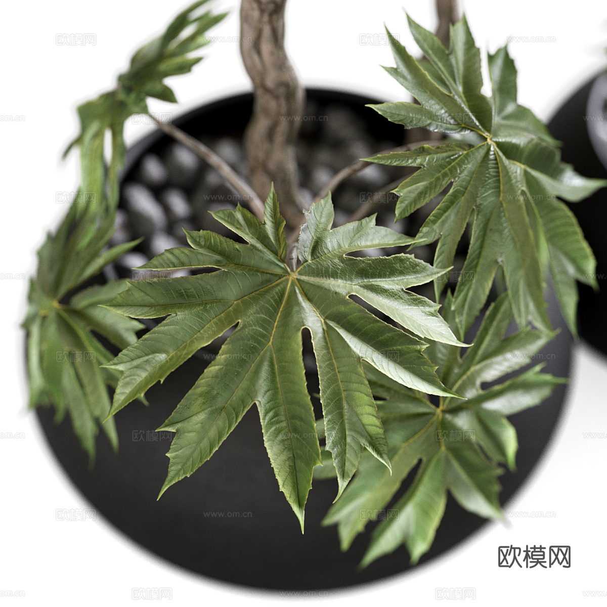 新中式侘寂绿植盆栽3d模型
