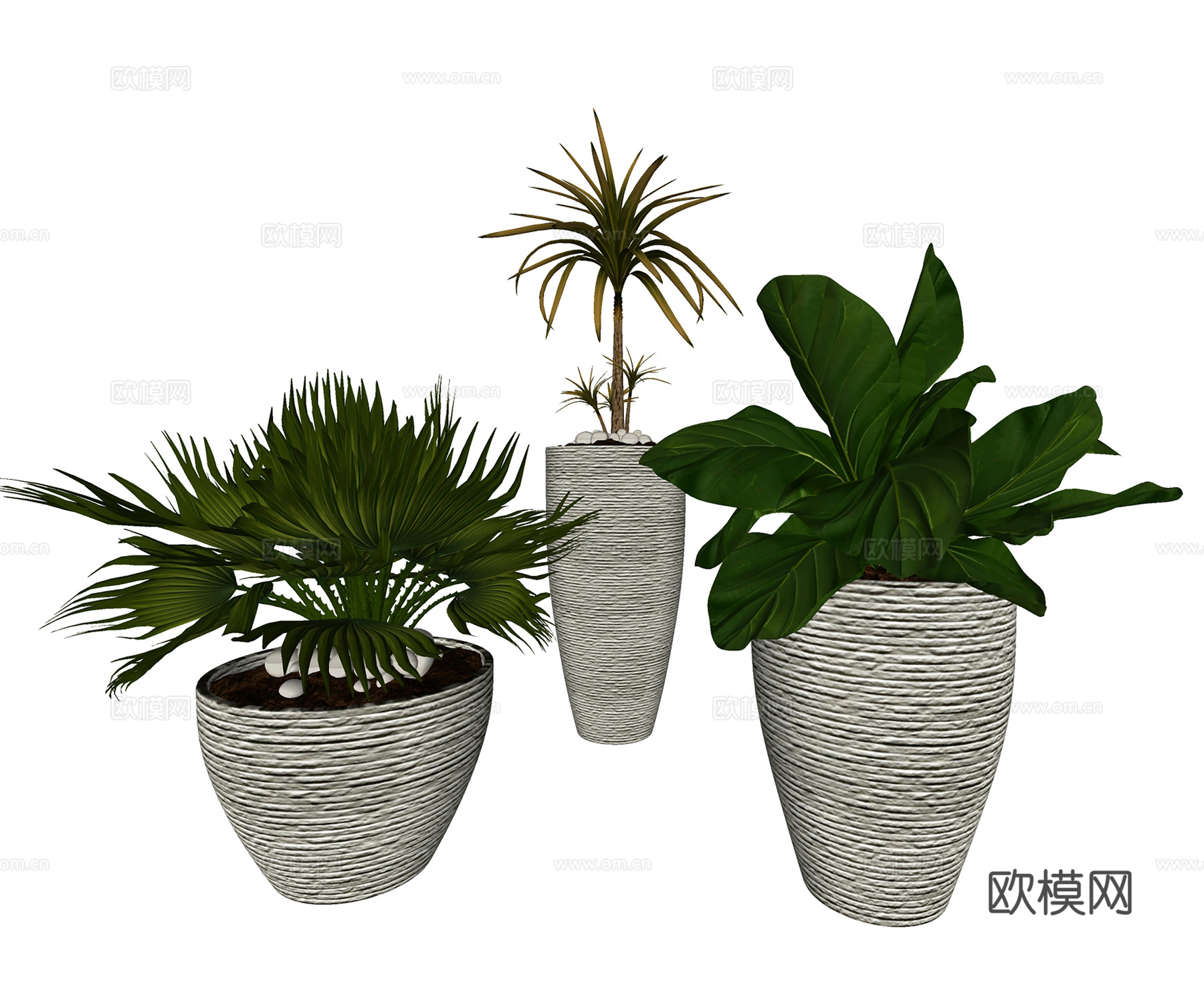 现代盆栽盆景  室内盆栽  绿植盆栽su模型