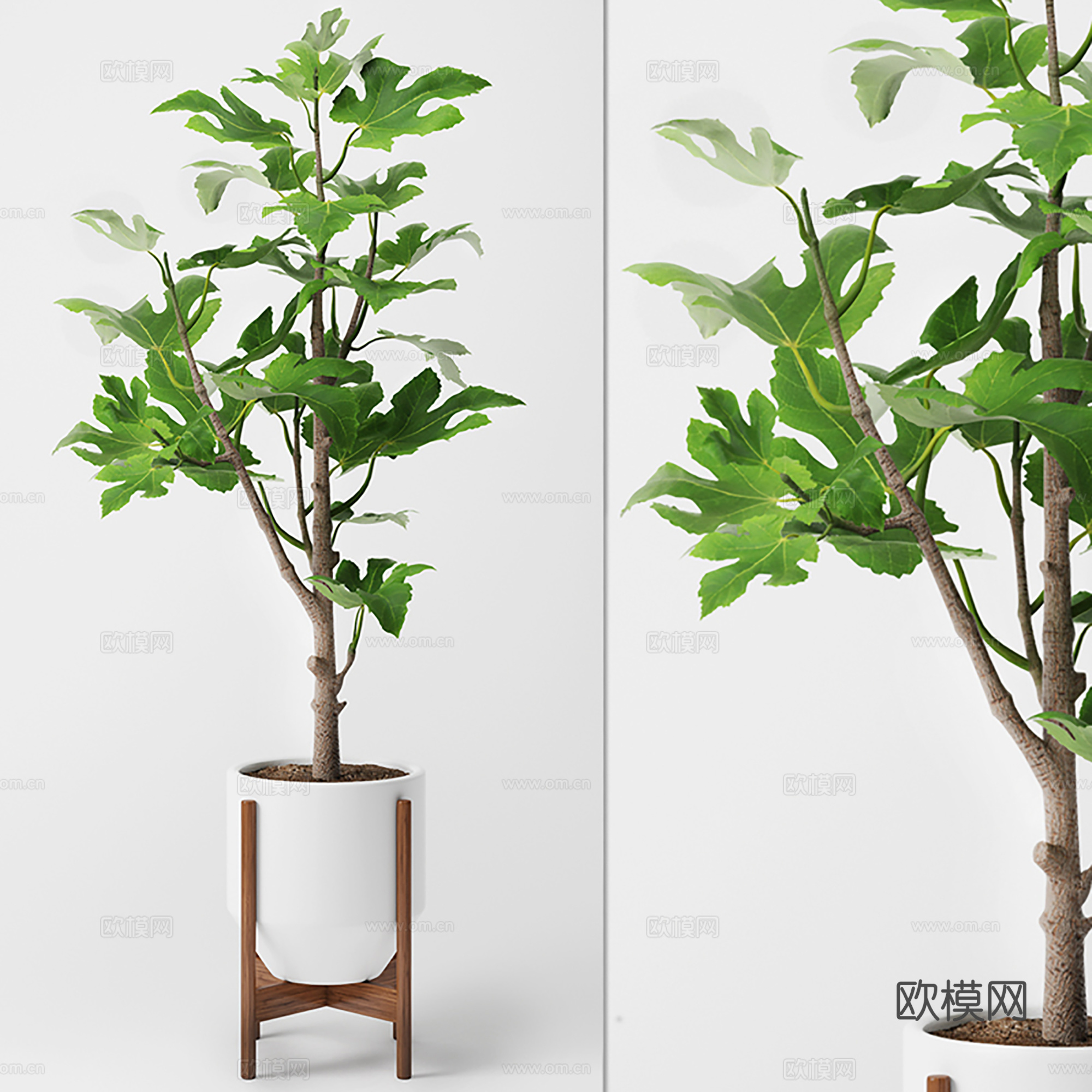 现代盆栽盆景  室内盆栽  绿植盆栽su模型