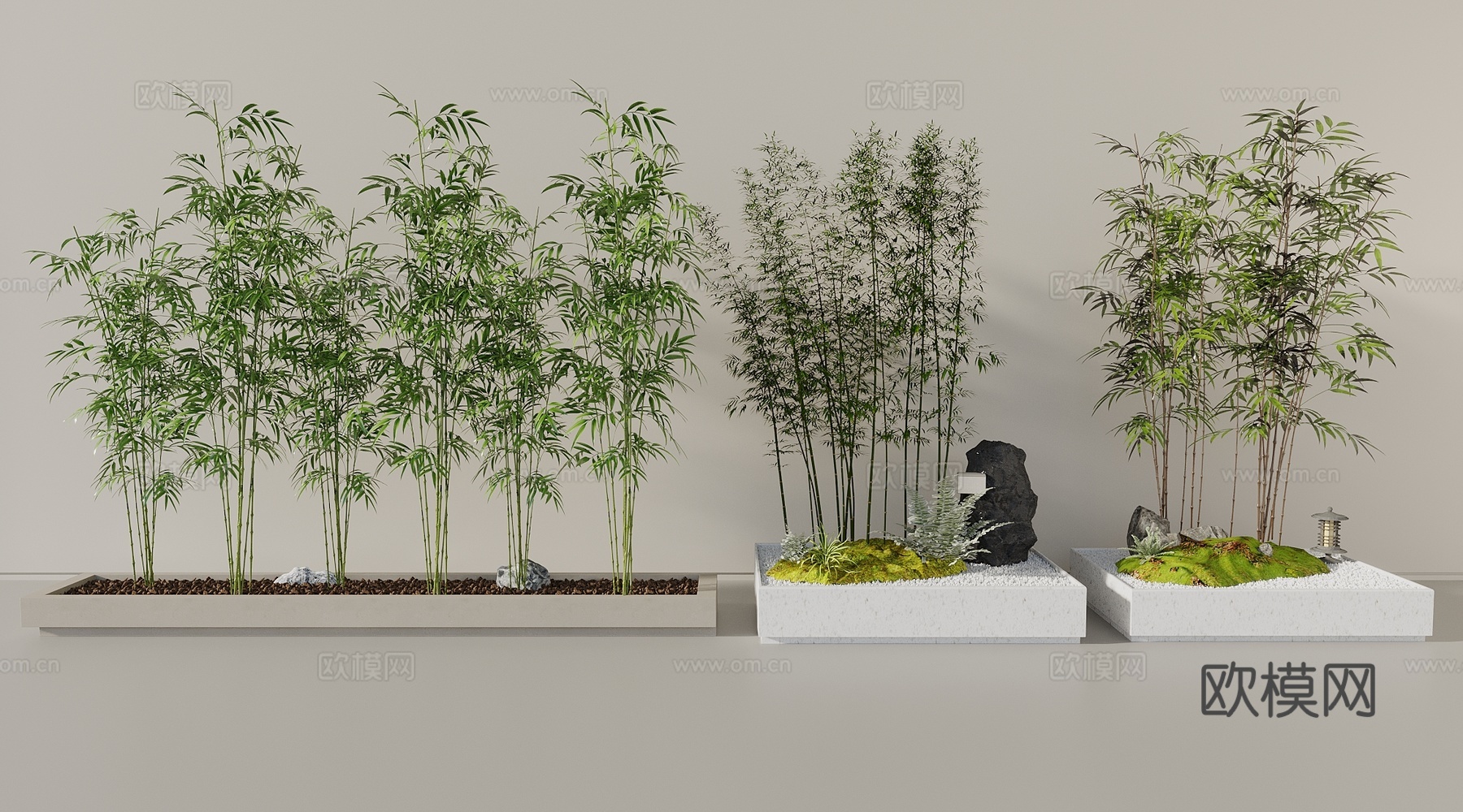 竹子 室内绿竹 庭院竹子 竹子花池3d模型