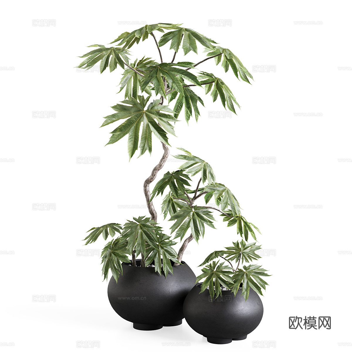 新中式侘寂绿植盆栽3d模型