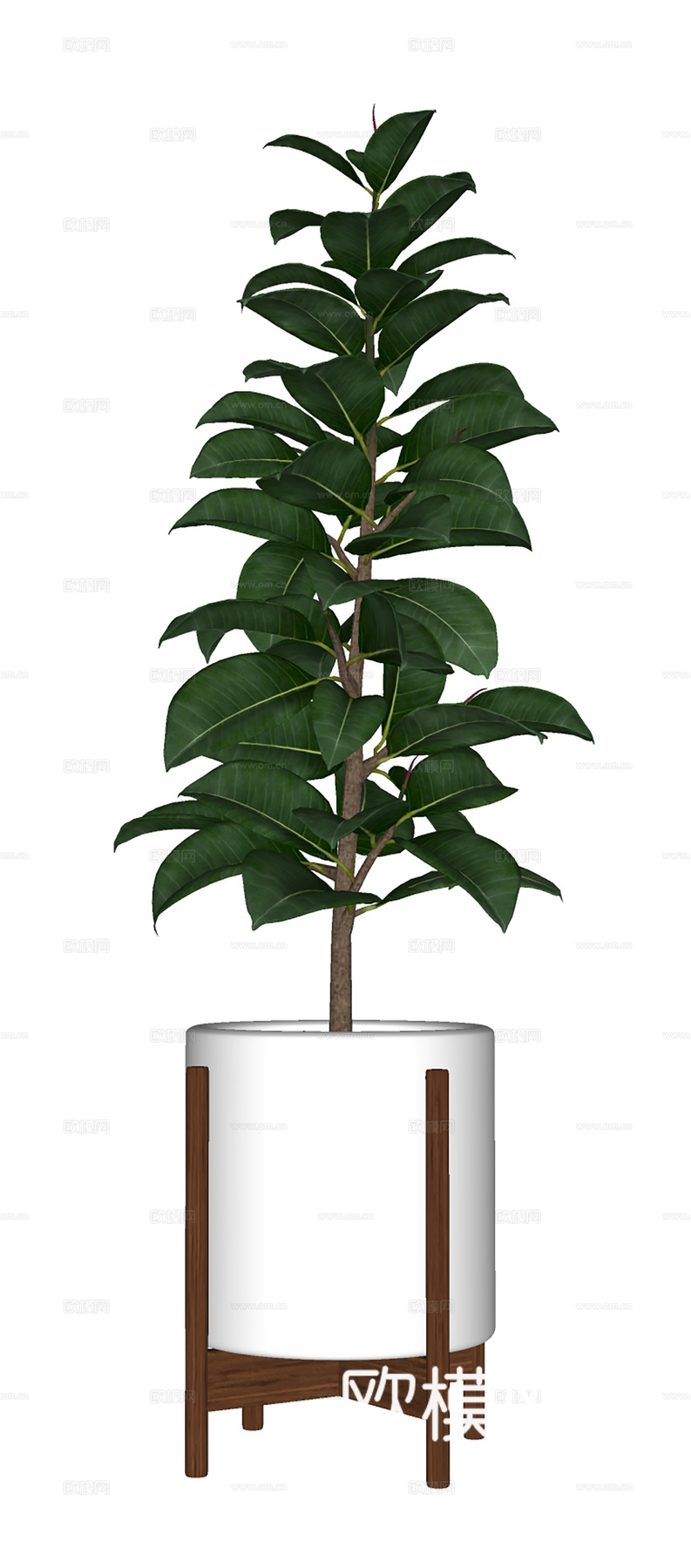 现代盆栽盆景  绿植盆栽  室内绿植su模型