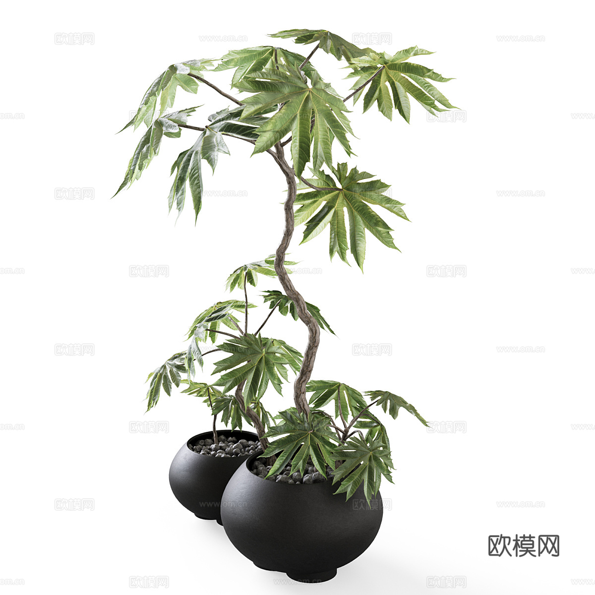 新中式侘寂绿植盆栽3d模型