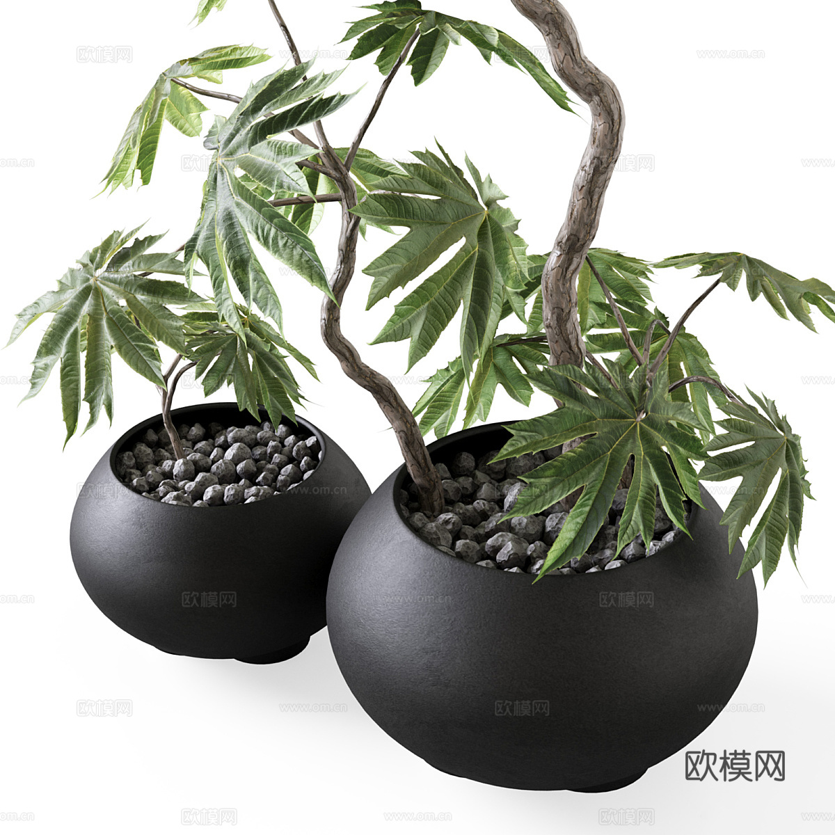 新中式侘寂绿植盆栽3d模型