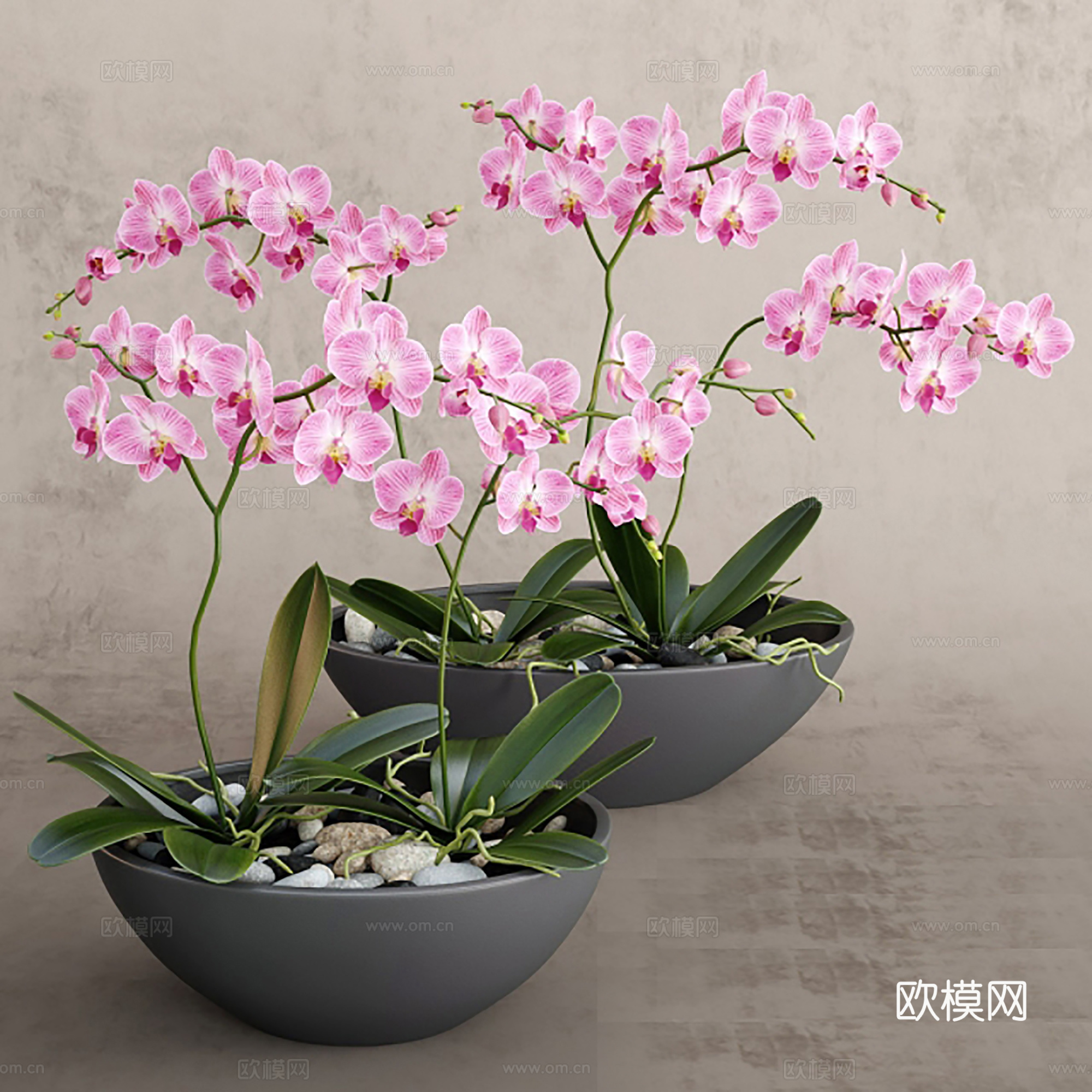 现代植物花草  花盆花卉 室内观赏花卉su模型