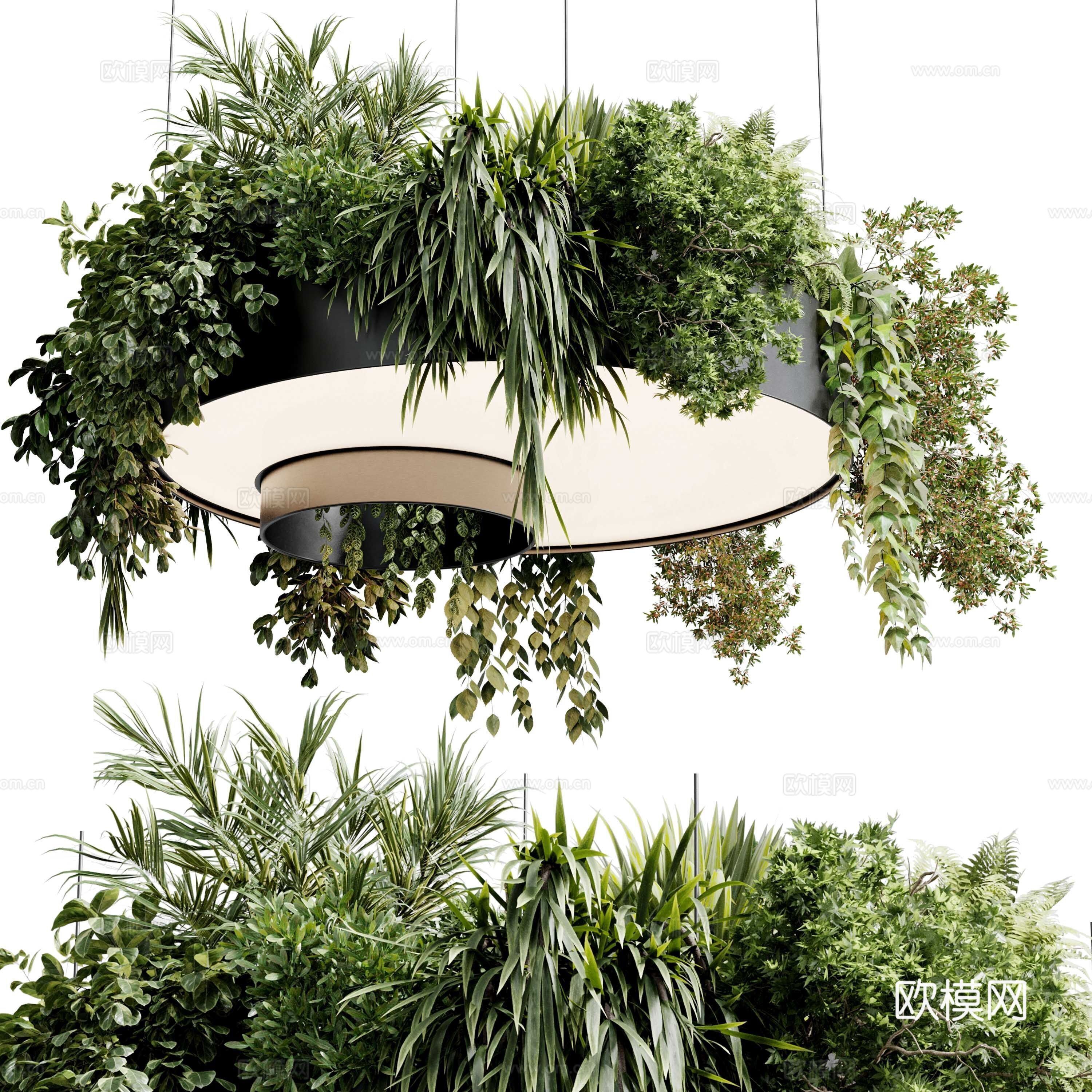 现代意式植物灯挂 绿植装饰吊灯3d模型