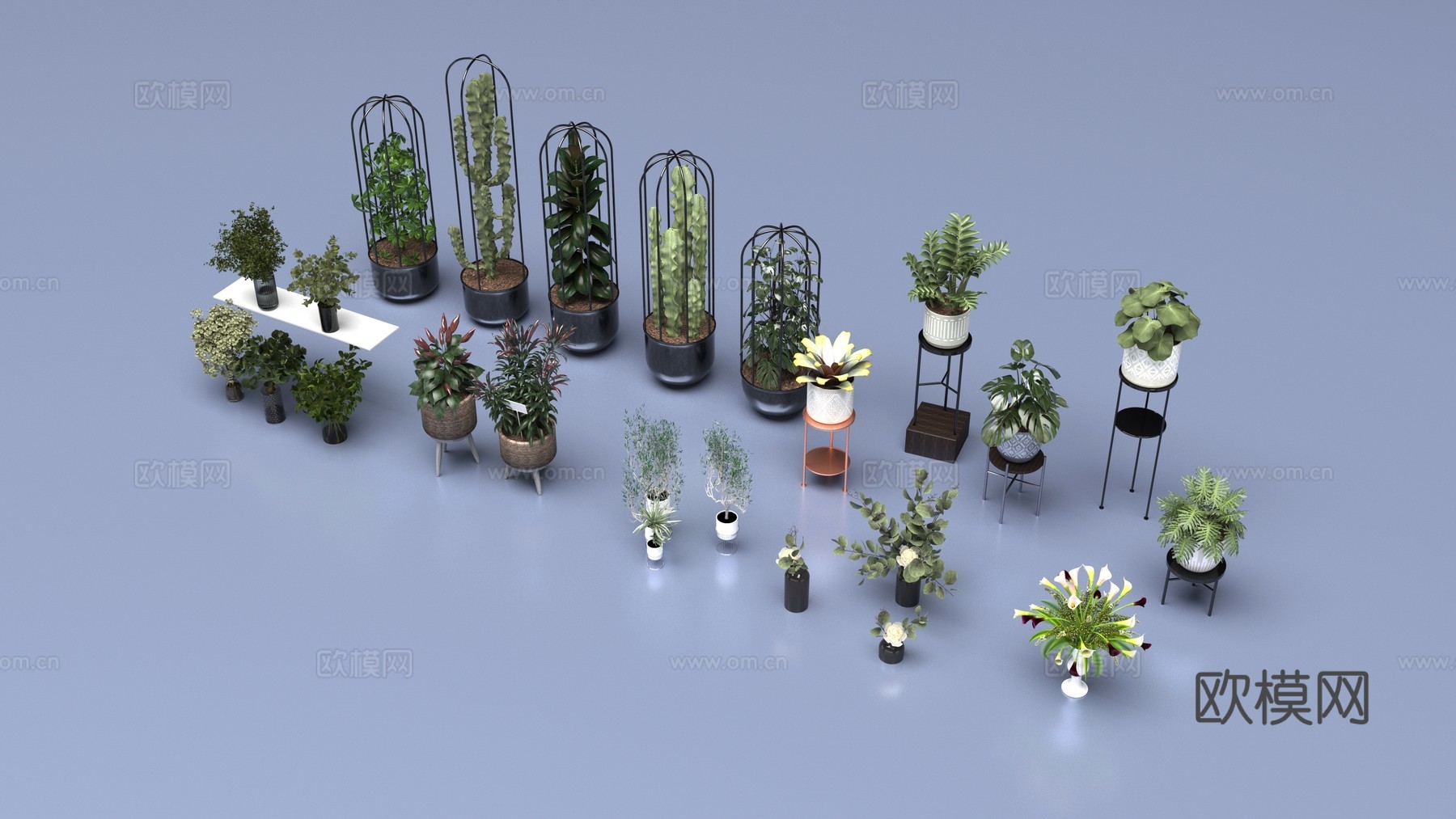 植物盆栽3d模型