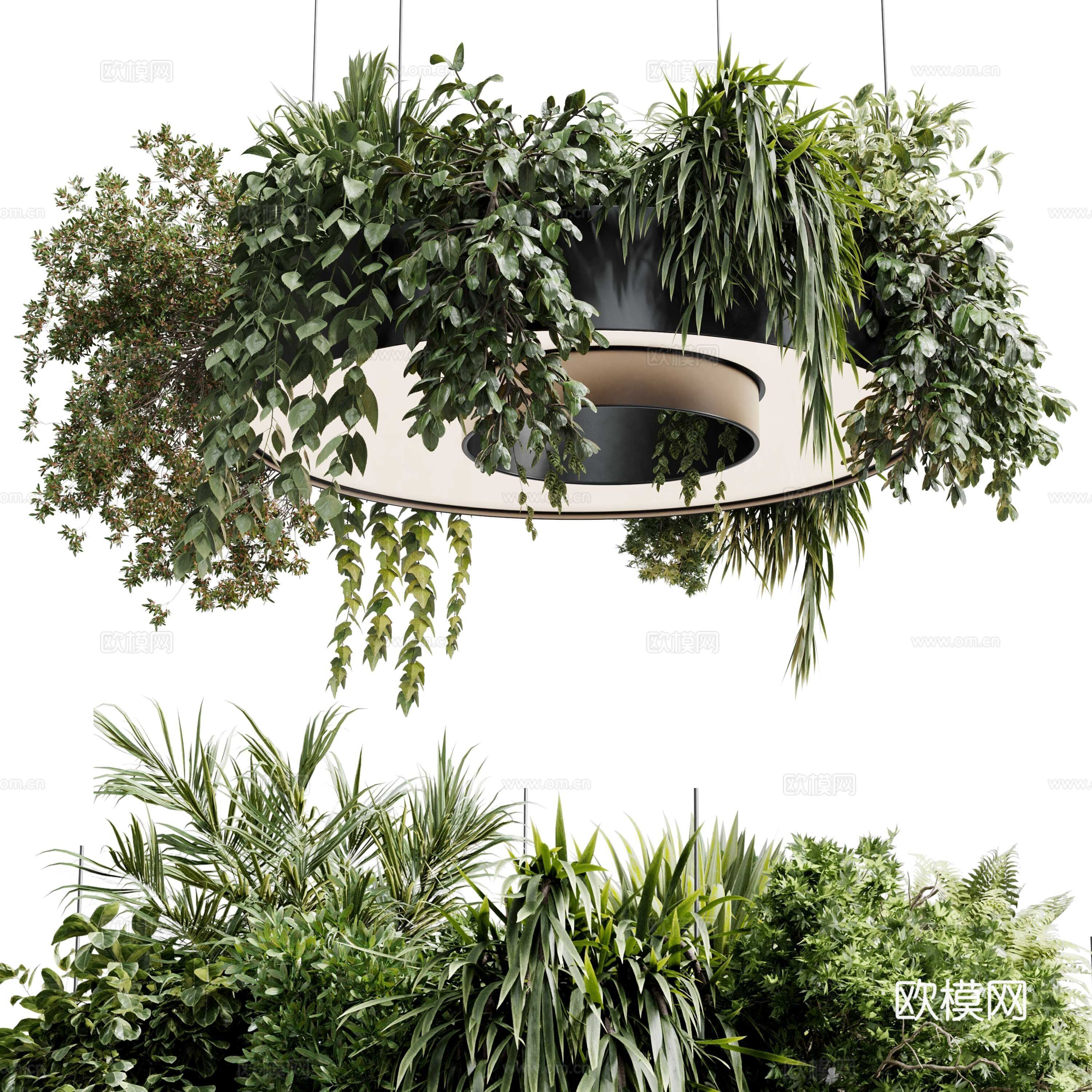 现代意式植物灯挂 绿植装饰吊灯3d模型