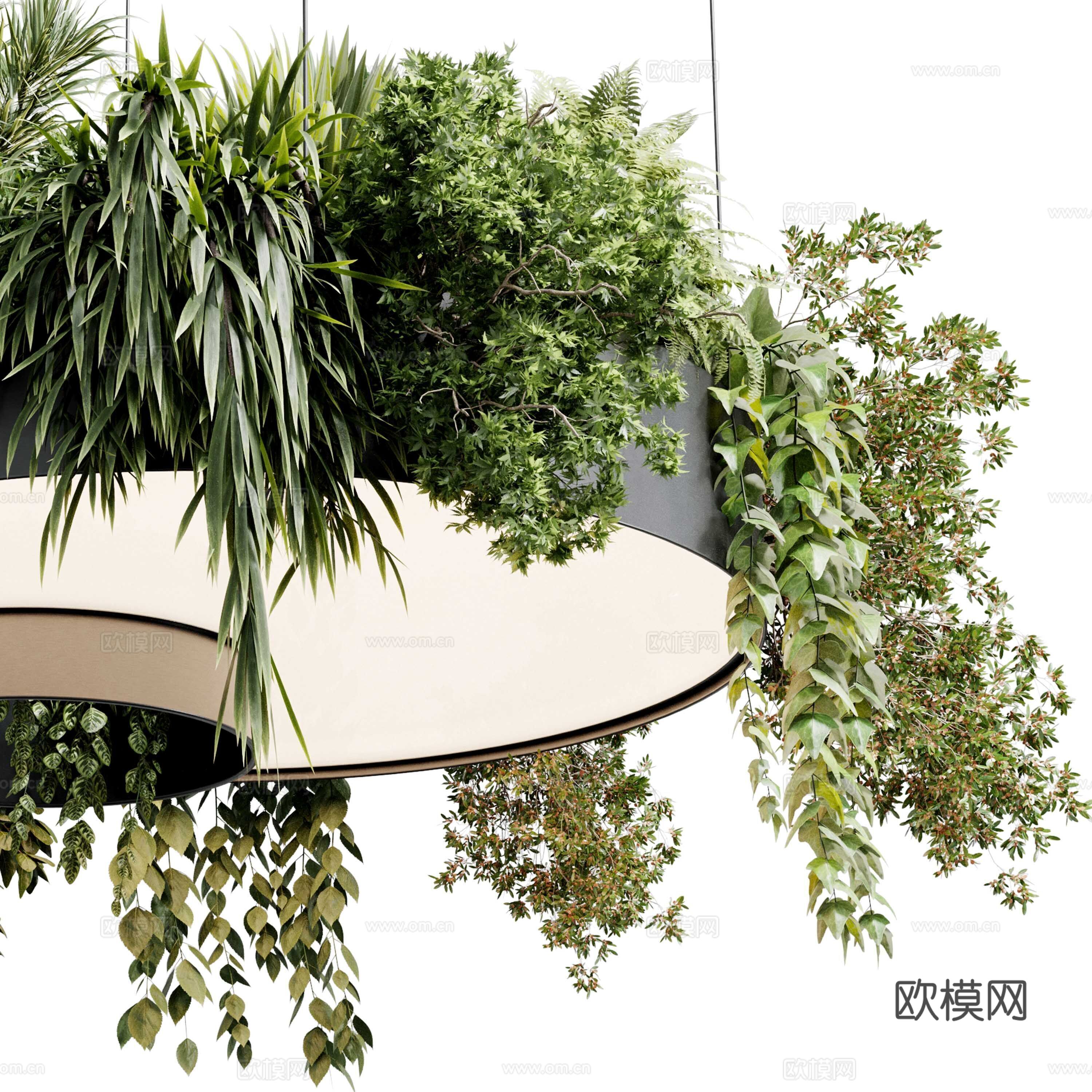 现代意式植物灯挂 绿植装饰吊灯3d模型