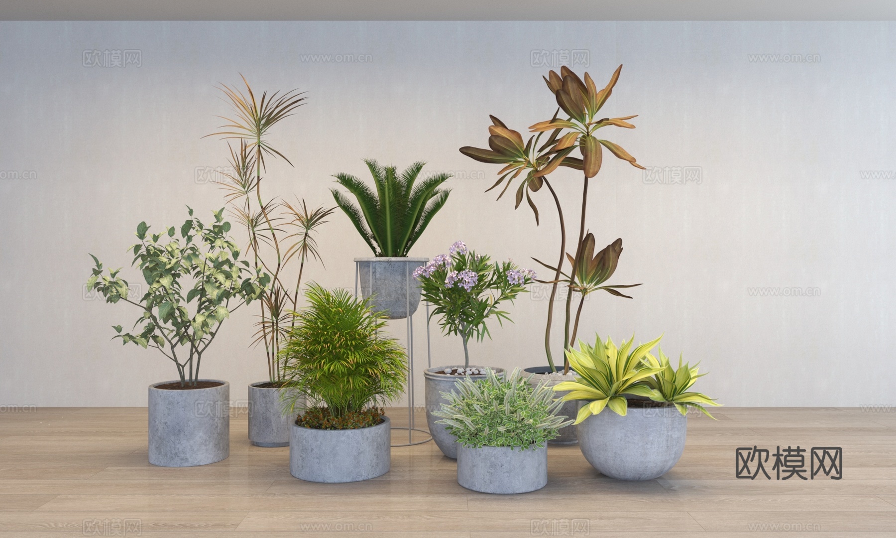 现代植物盆栽盆景组合3d模型