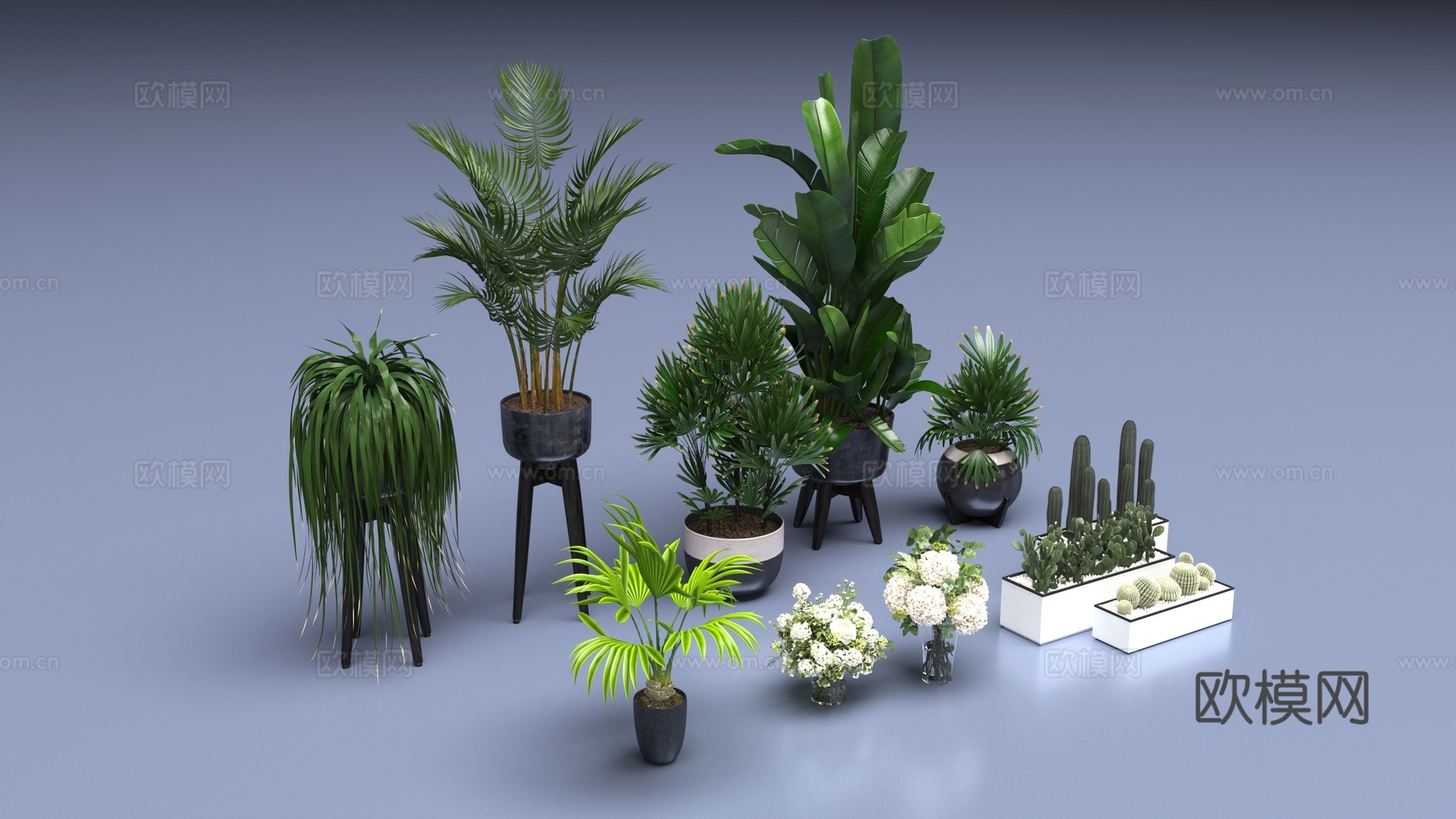 室内植物盆栽3d模型