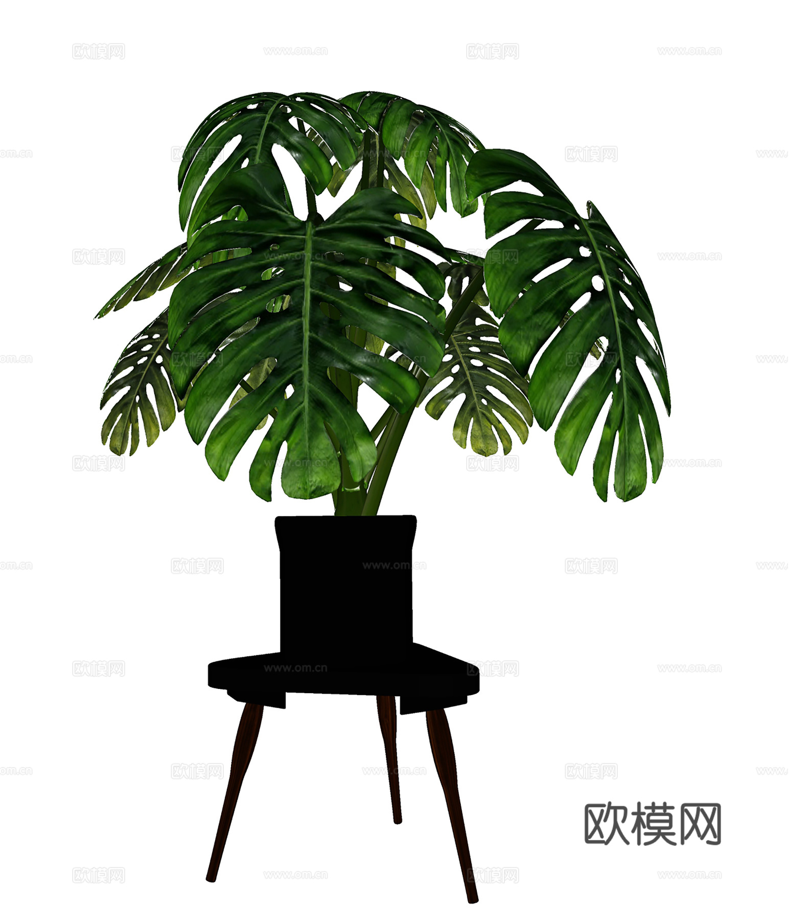 现代植物花草  绿植盆栽    室内绿植su模型