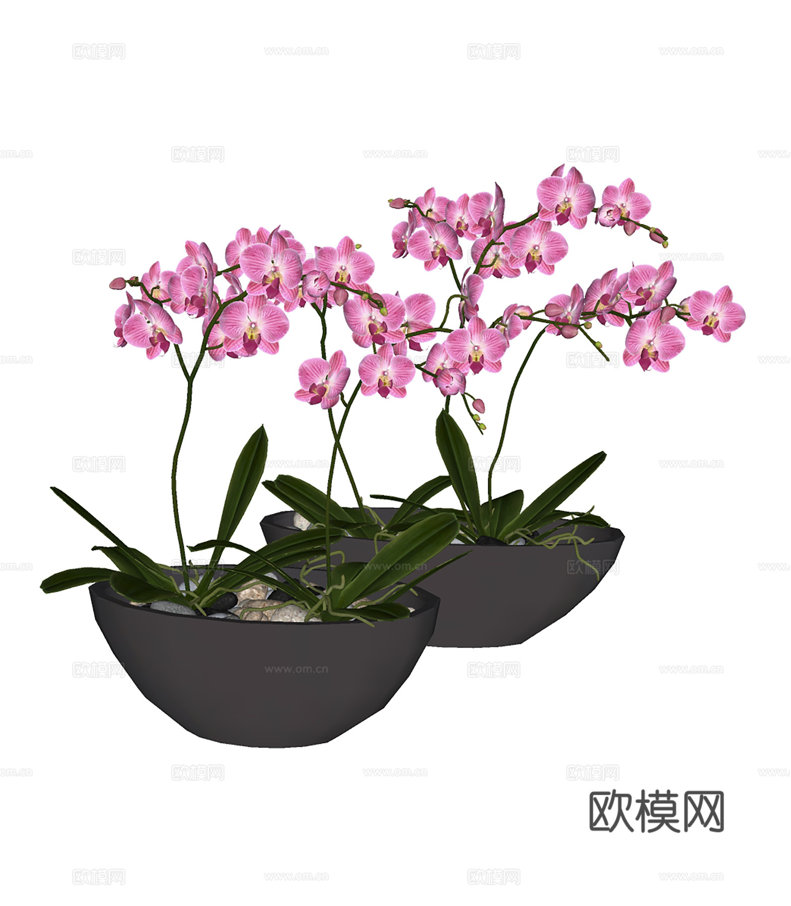 现代植物花草  花盆花卉 室内观赏花卉su模型