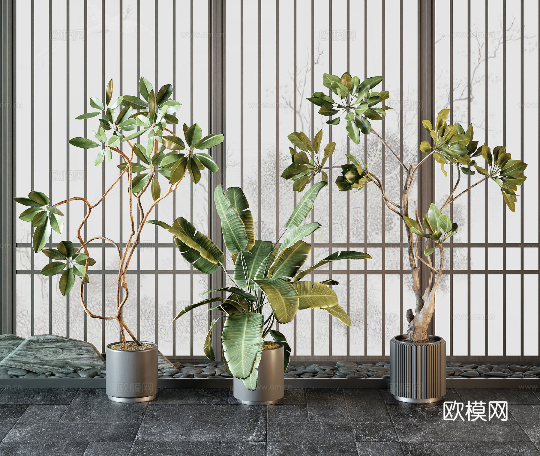 现代绿植盆栽3d模型