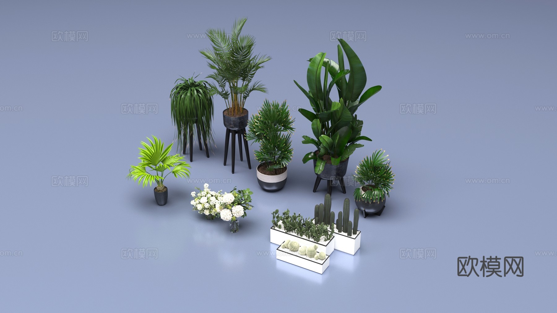 室内植物盆栽3d模型