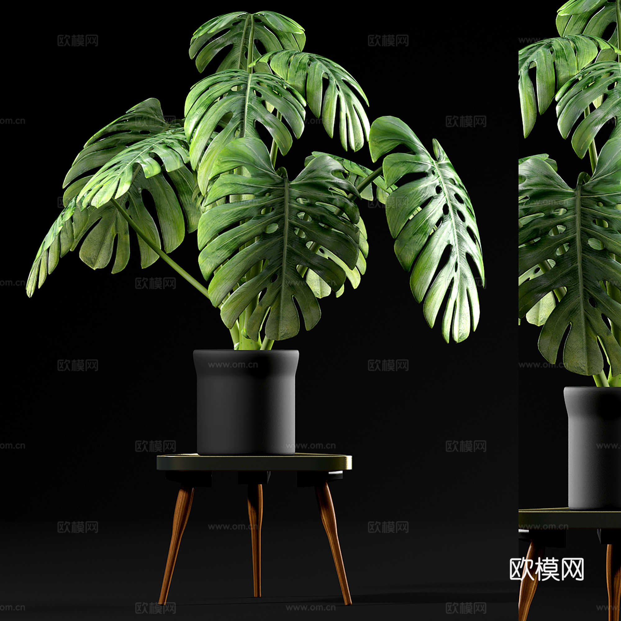 现代植物花草  绿植盆栽    室内绿植su模型