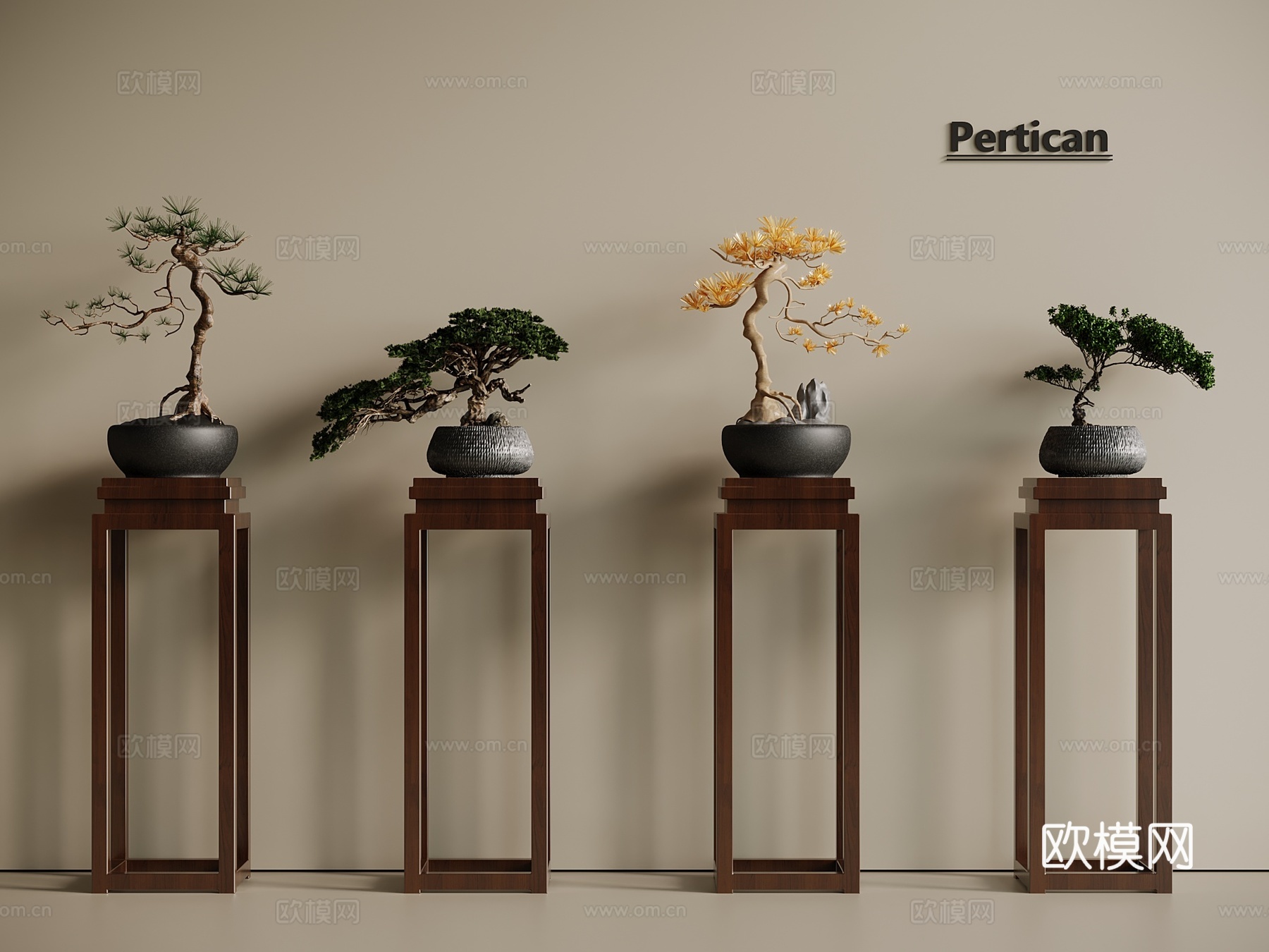 盆栽 迎客松 松树 罗汉松3d模型