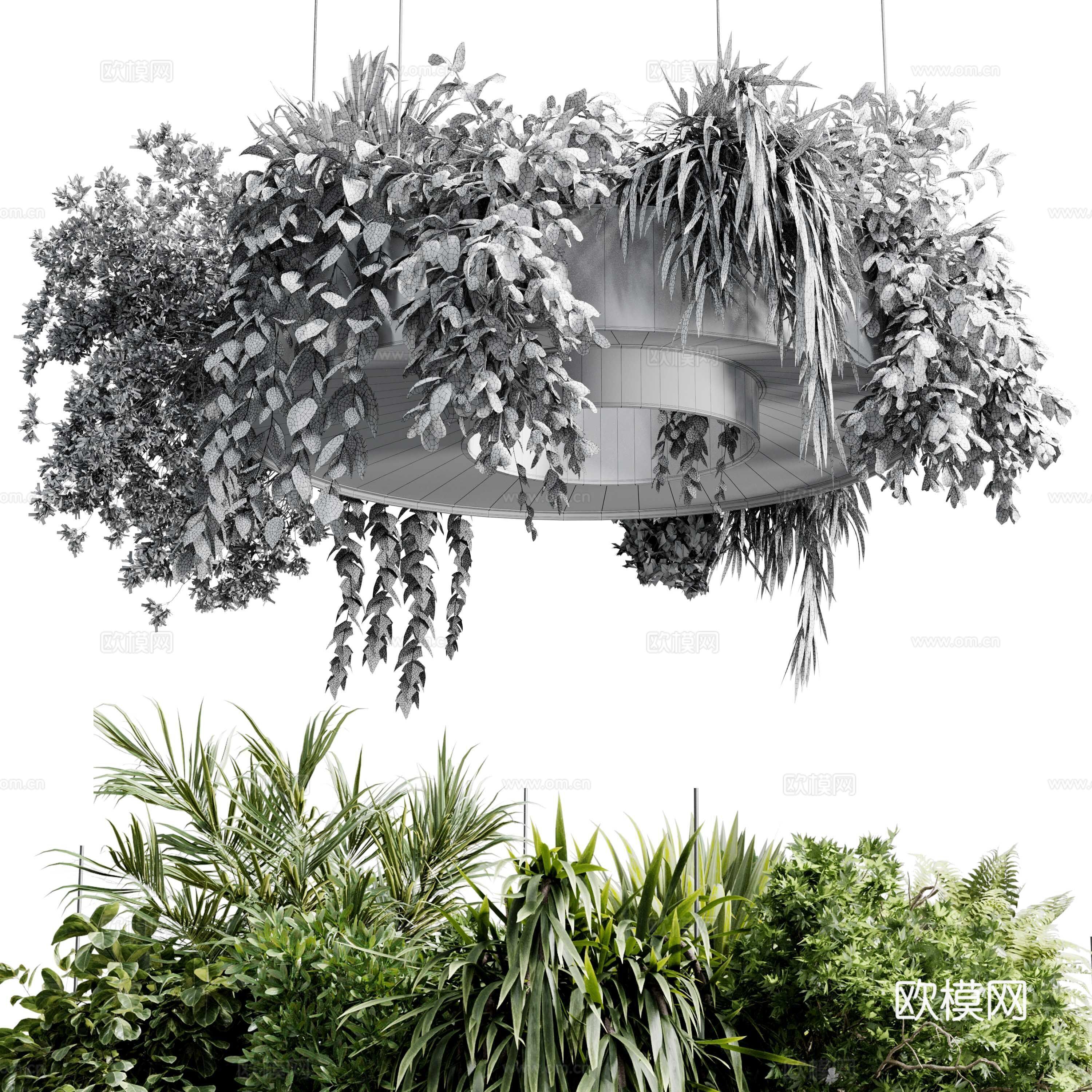 现代意式植物灯挂 绿植装饰吊灯3d模型