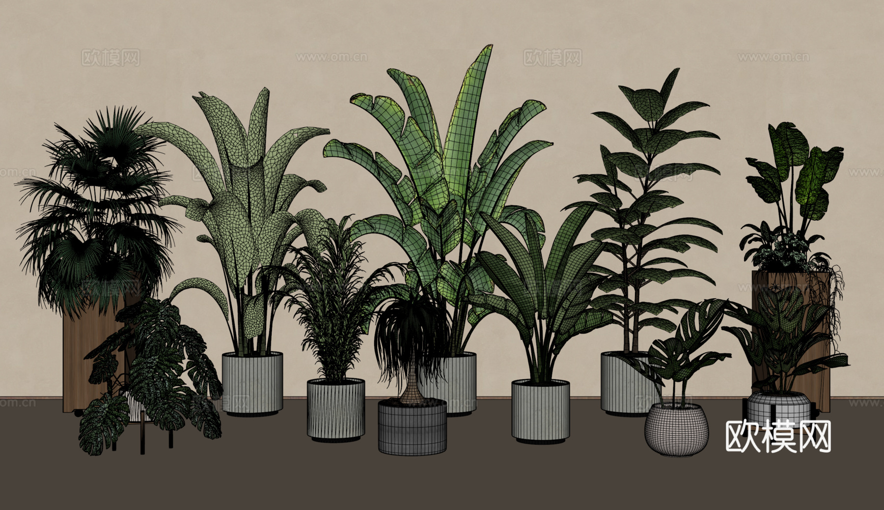 绿植盆栽组合su模型