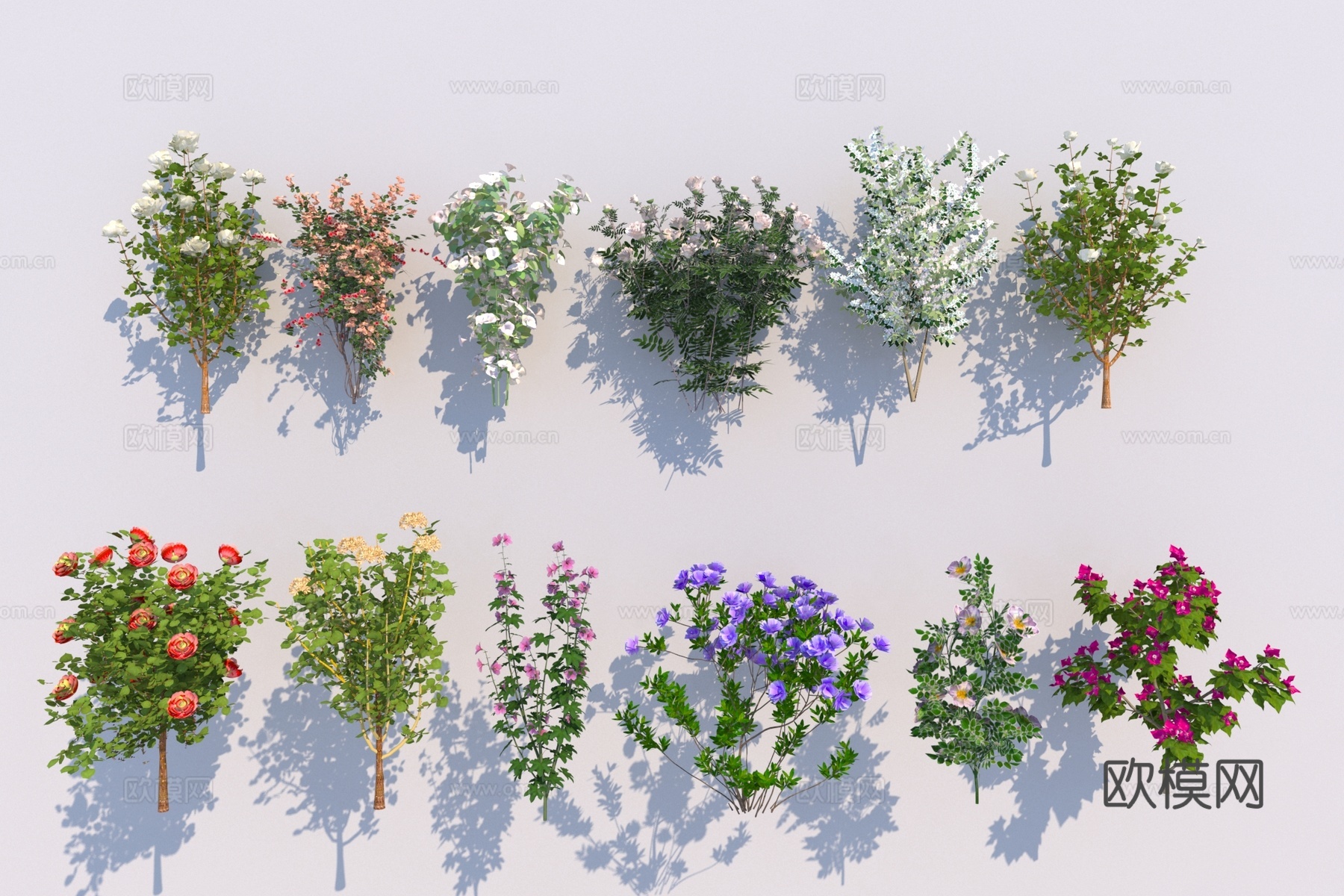 现代庭院绿植花草灌木3d模型