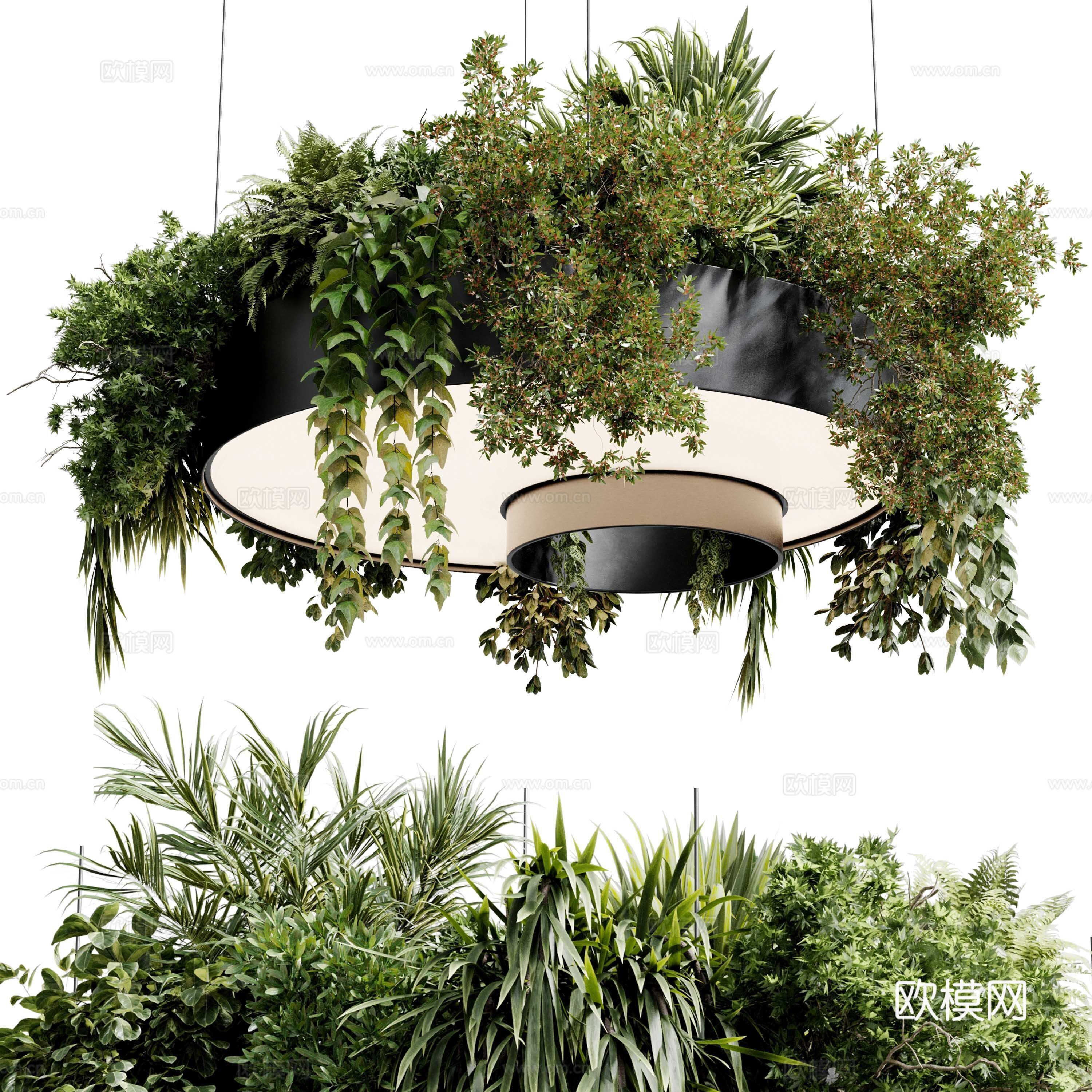 现代意式植物灯挂 绿植装饰吊灯3d模型