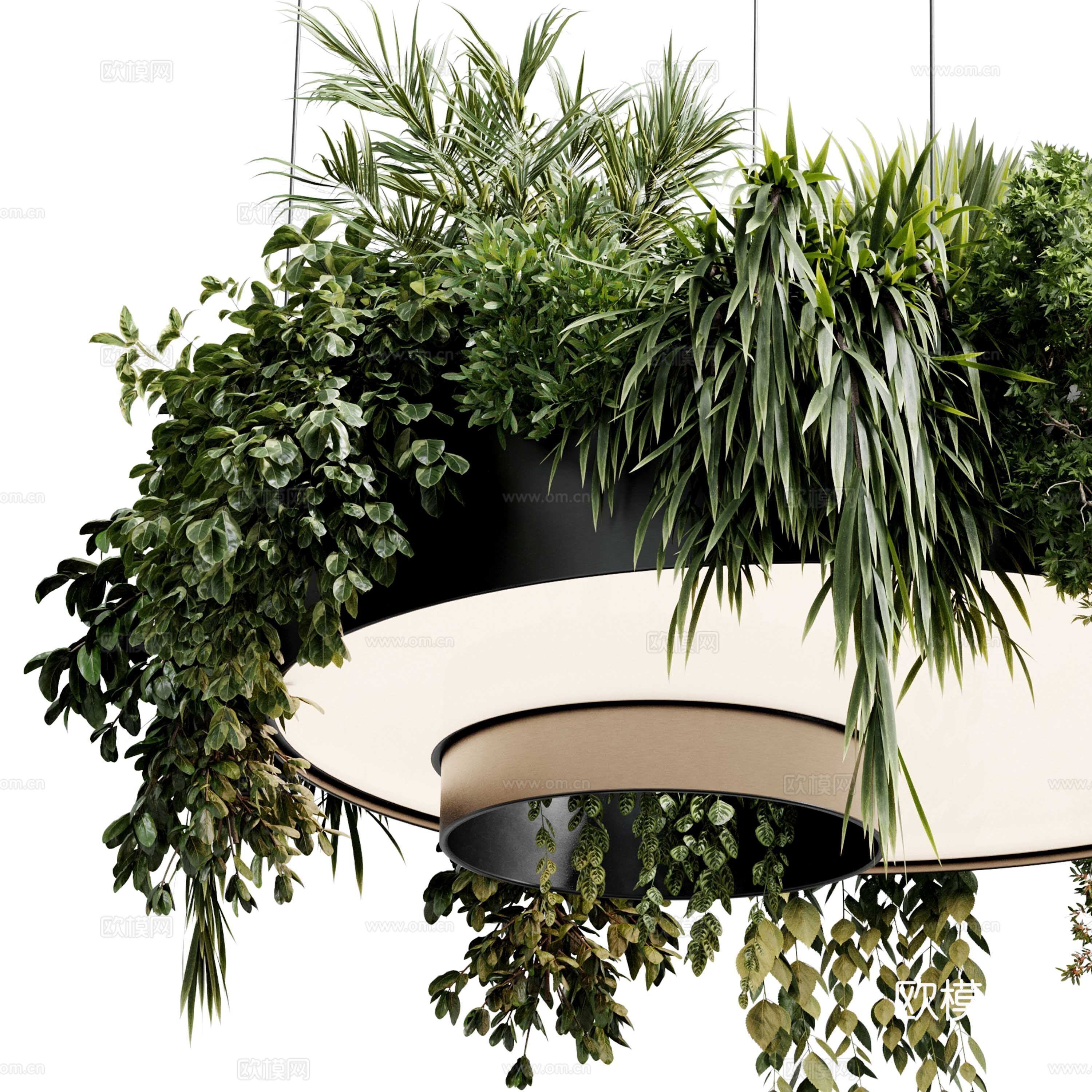 现代意式植物灯挂 绿植装饰吊灯3d模型