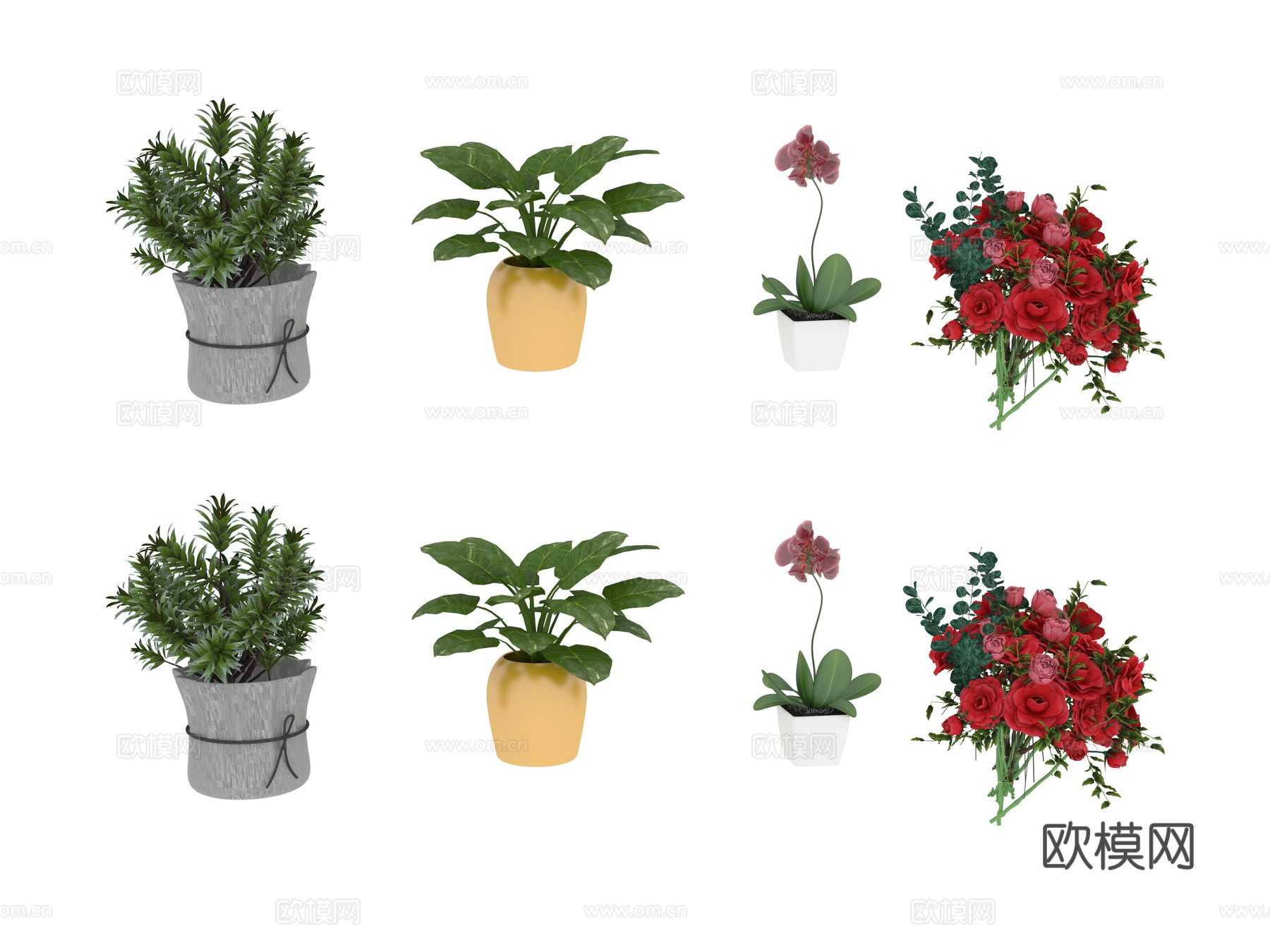 绿色植物 盆栽花3d模型