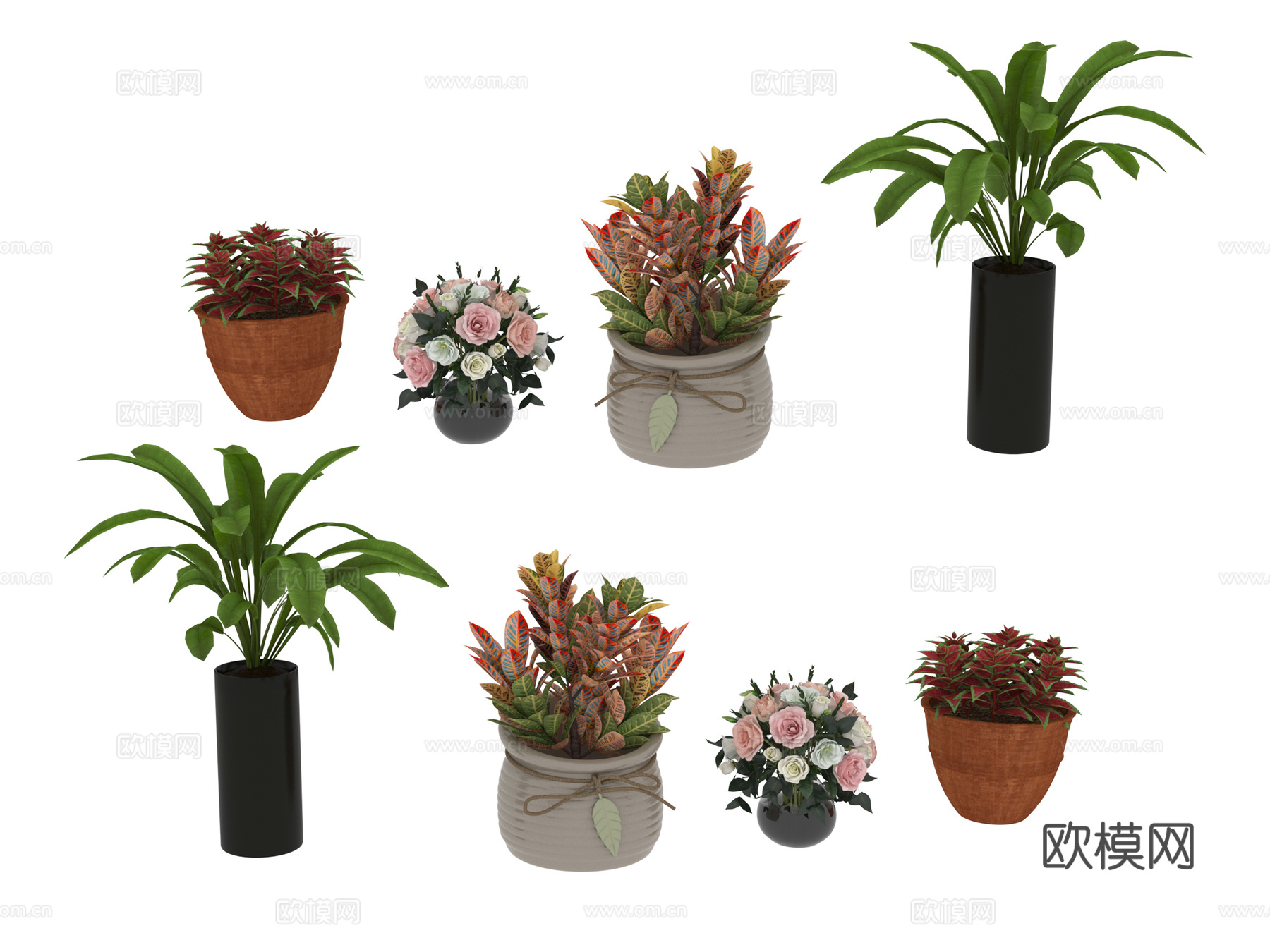 植物 盆栽花3d模型