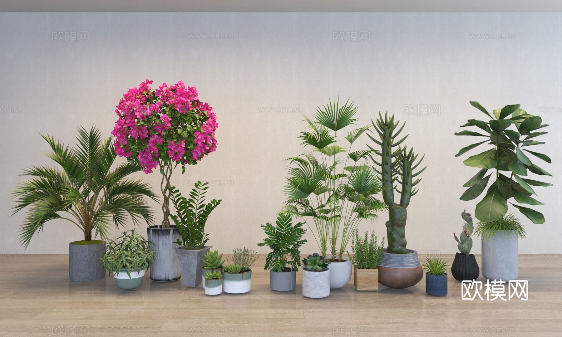 现代植物盆栽盆景组合3d模型