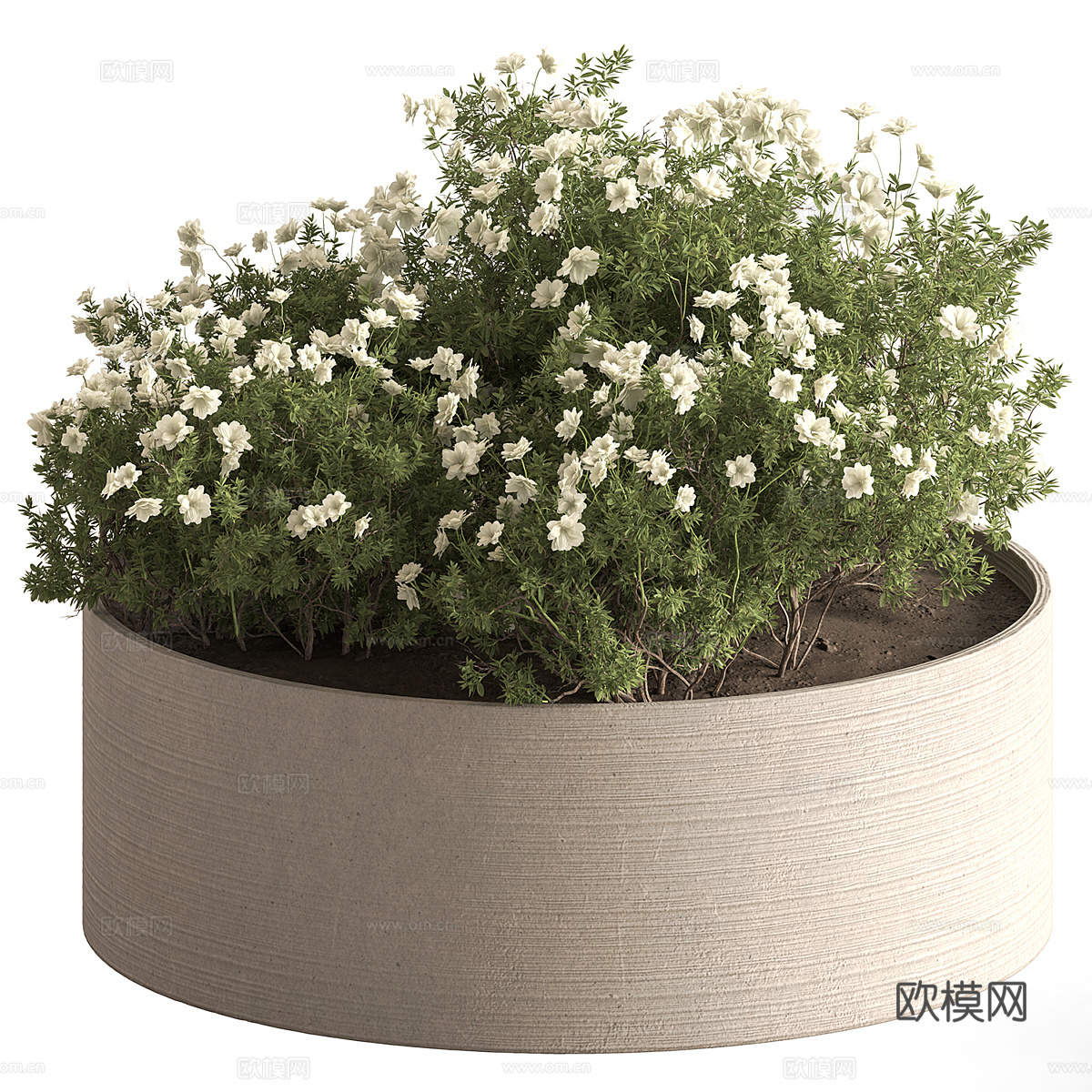 花瓶花卉3d模型