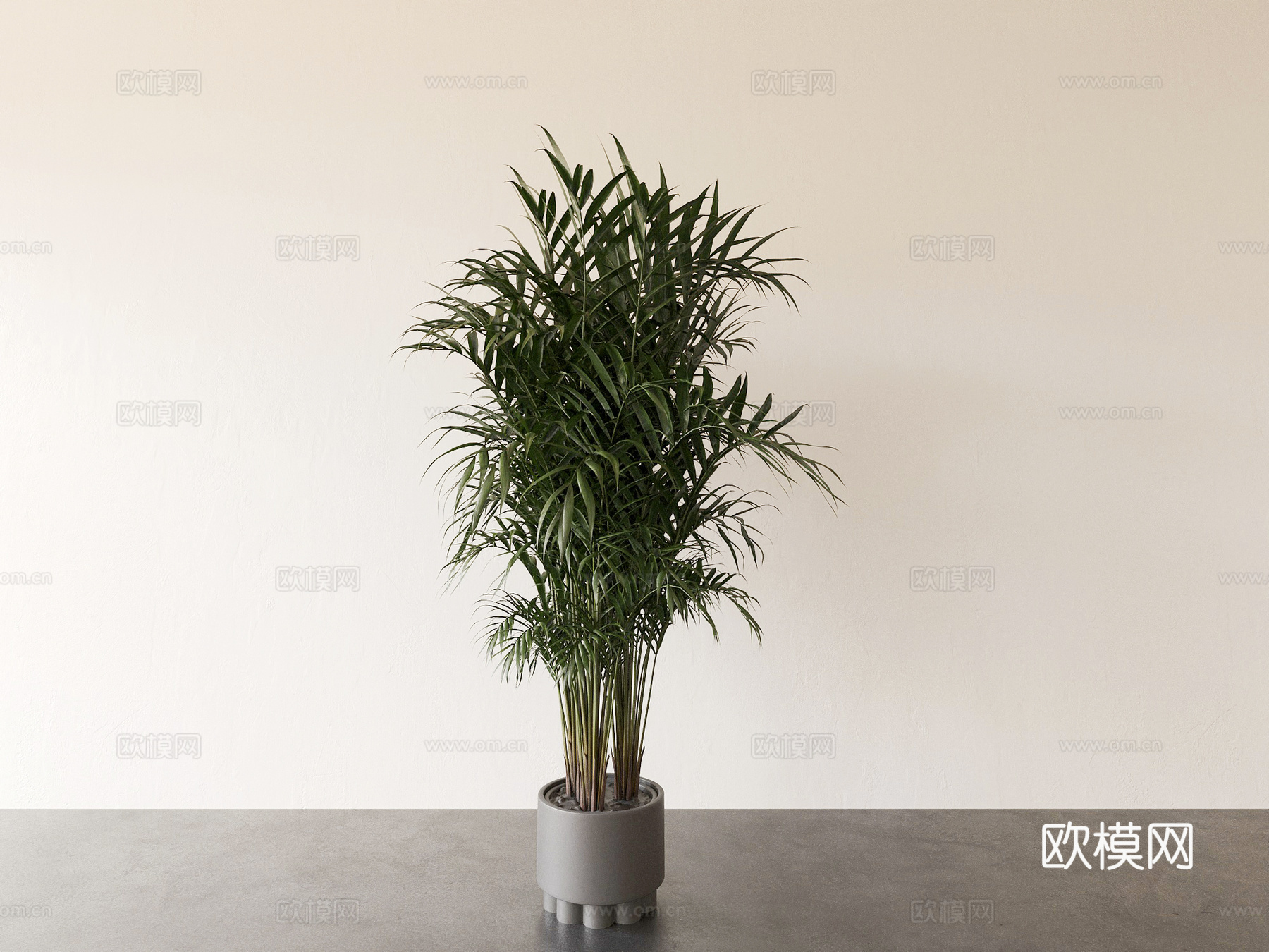 植物 盆栽 花盆 绿植3d模型