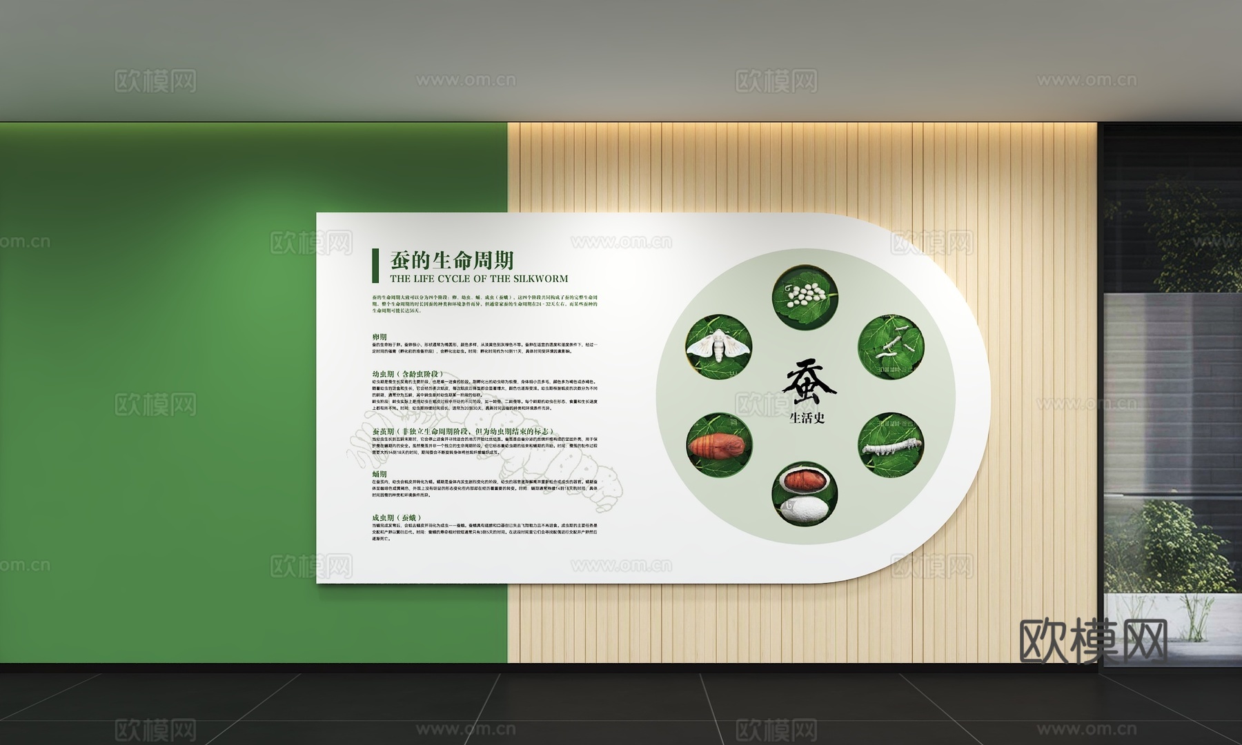 现代绿色文化墙 桑树植物 展示墙 标语 展示墙 口号3d模型