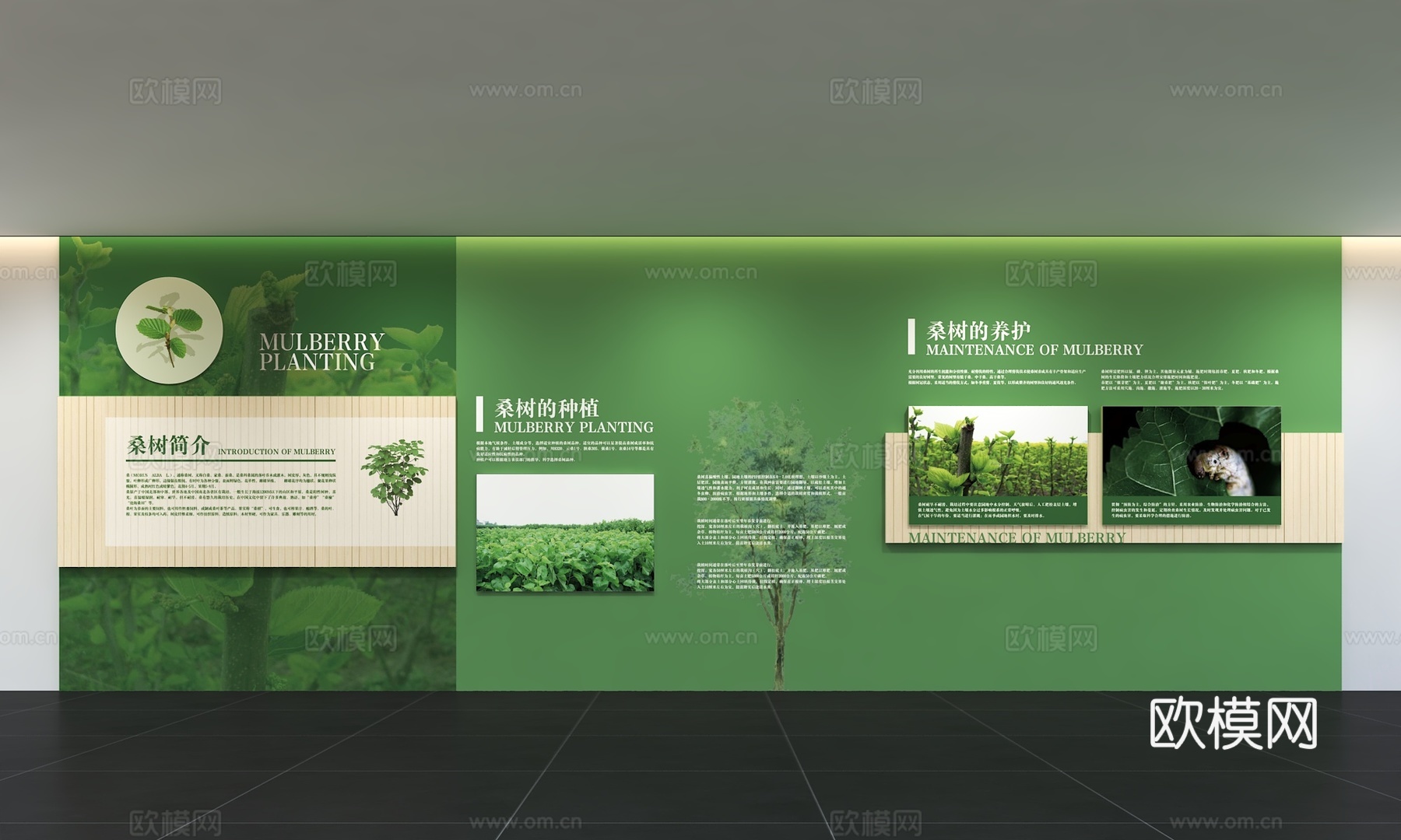 现代绿色文化墙 桑树植物 展示墙 标语 展示墙 口号3d模型