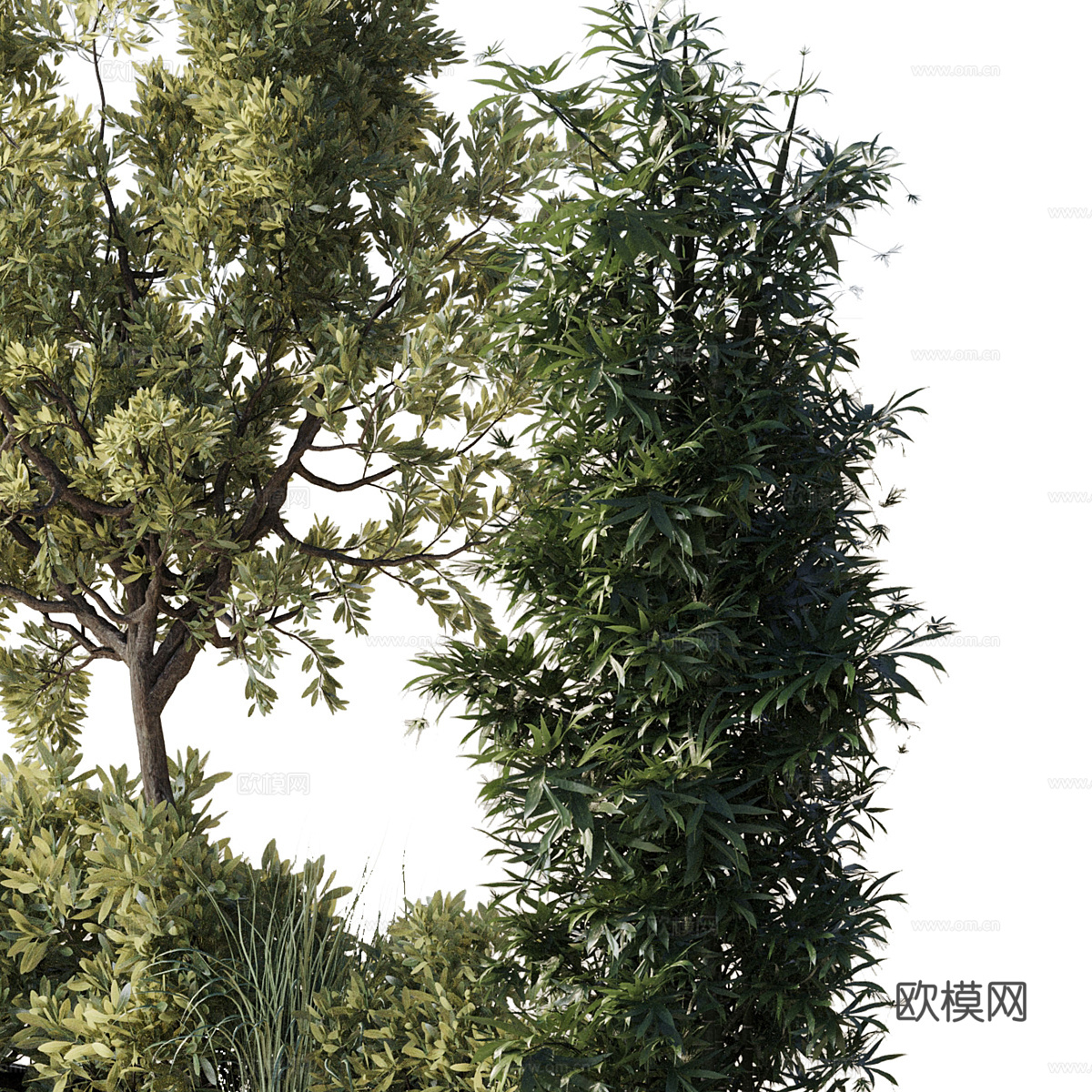 现代意式庭院景观 长凳 庭院绿植3d模型