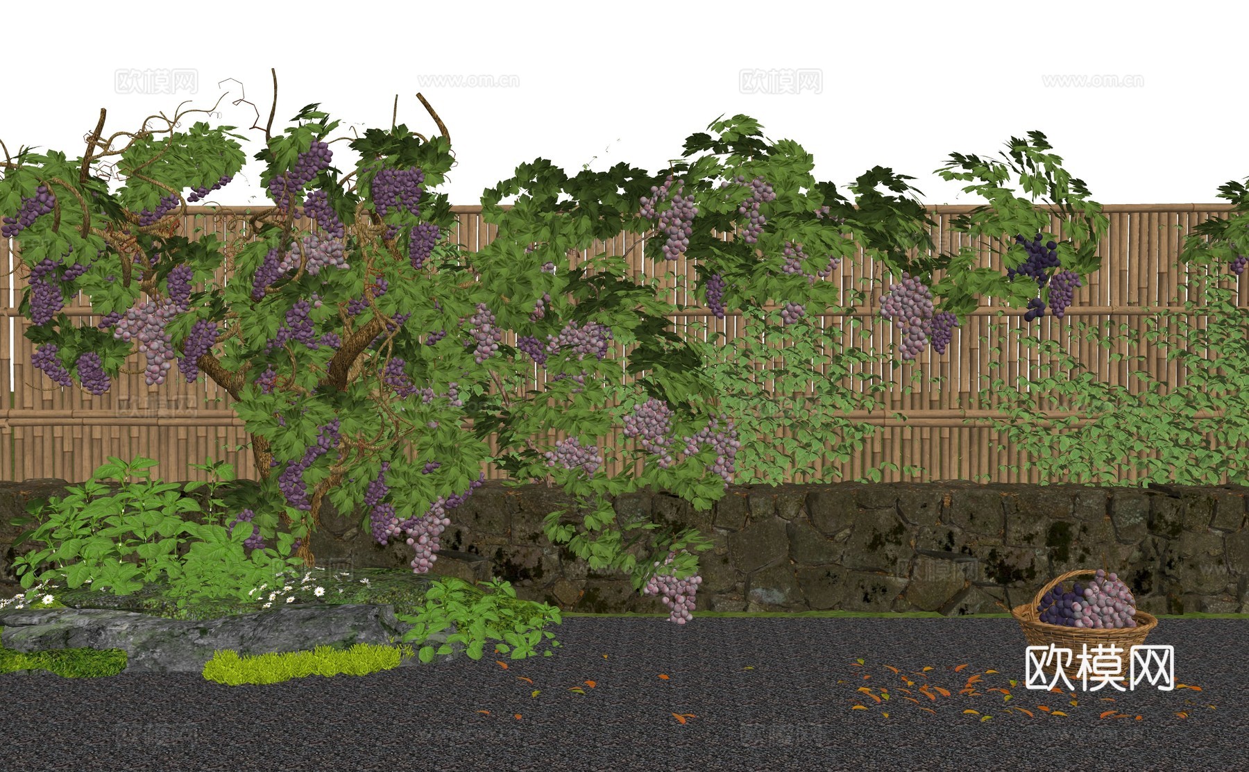 葡萄藤乡村庭院 葡萄藤篱笆小院 葡萄爬藤植物 庭院爬藤植物景su模型