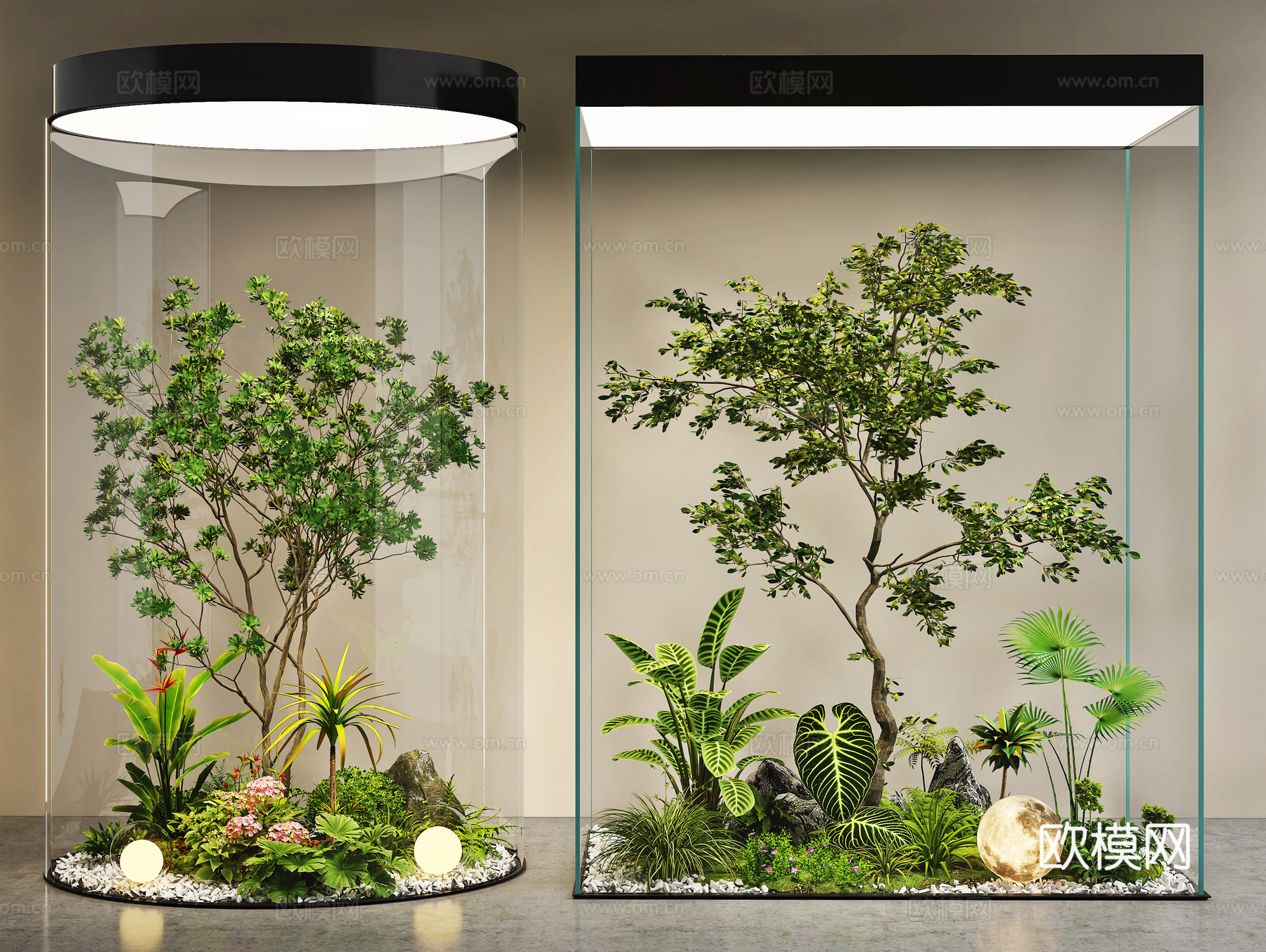现代室内景观 景观造景 景观树 植物堆 玻璃柜绿植物造景3d模型