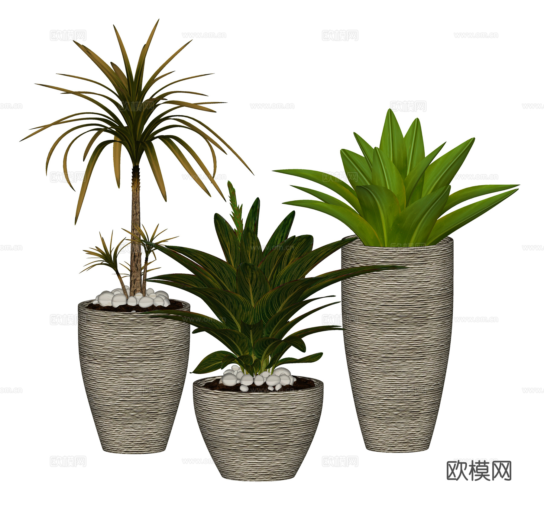 现代植物花草  绿植盆栽    室内绿植su模型