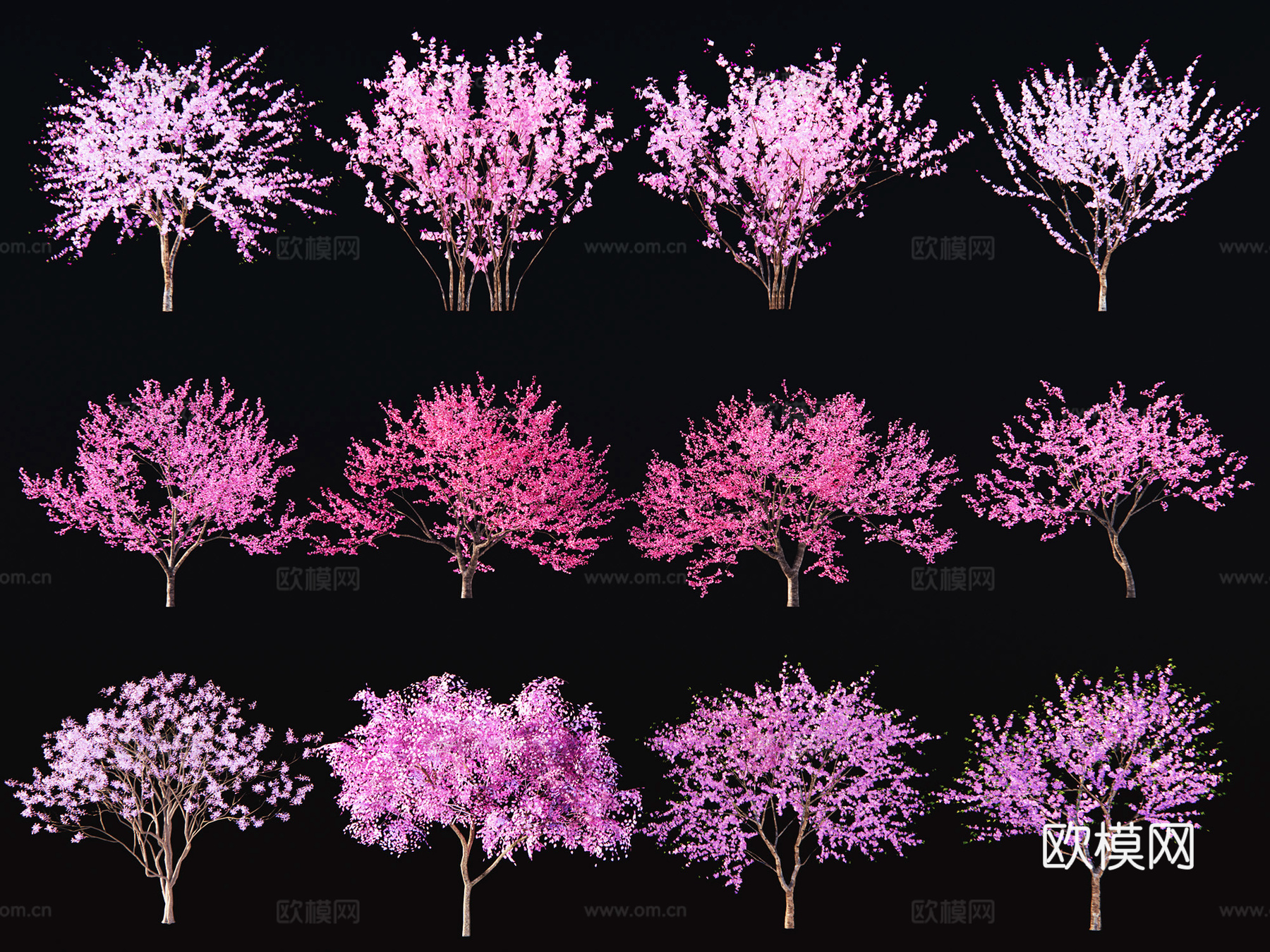 现代樱花树 桃花树 色叶树 景观树 杏花树 粉色花树 小乔木3d模型