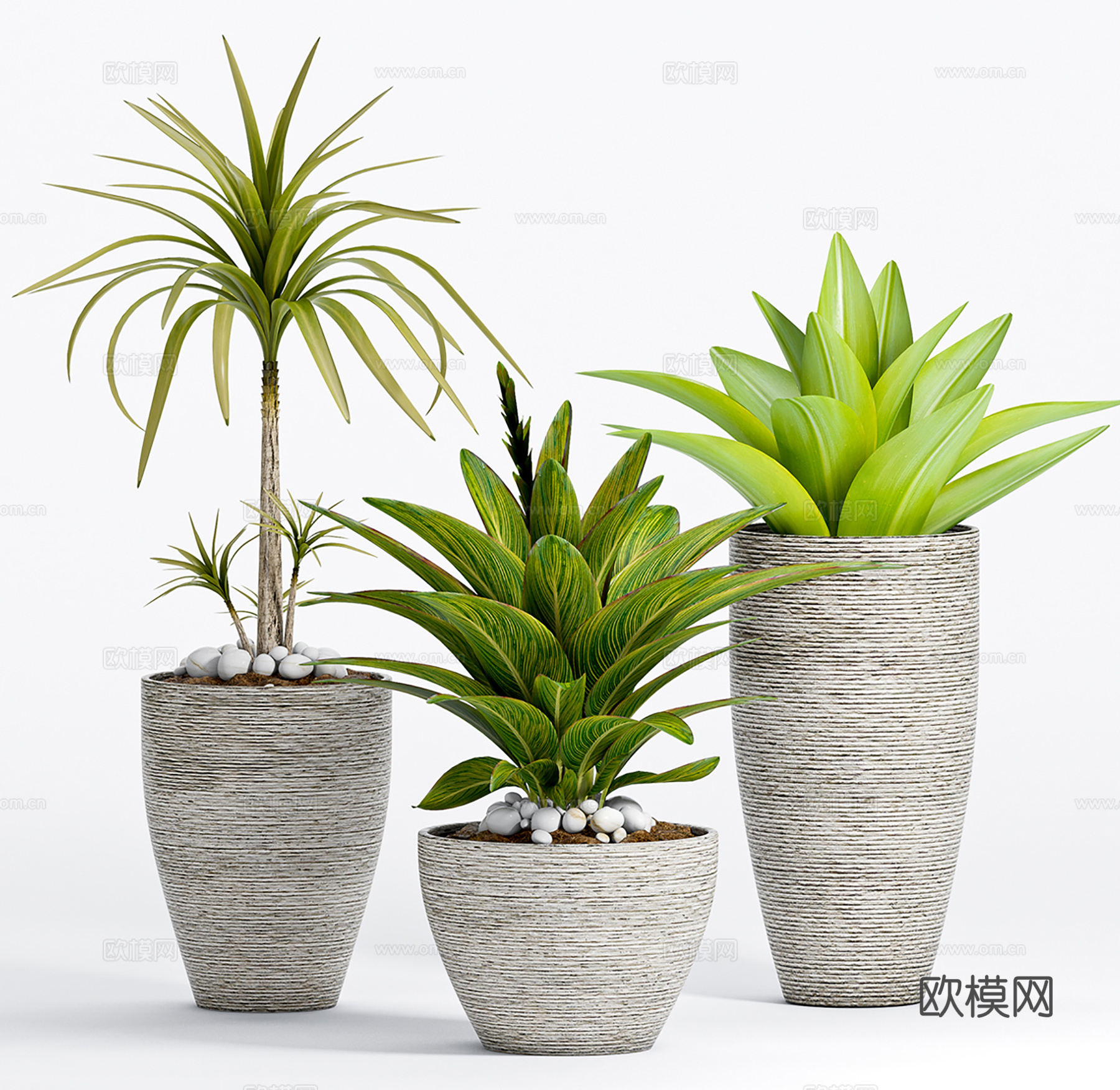 现代植物花草  绿植盆栽    室内绿植su模型