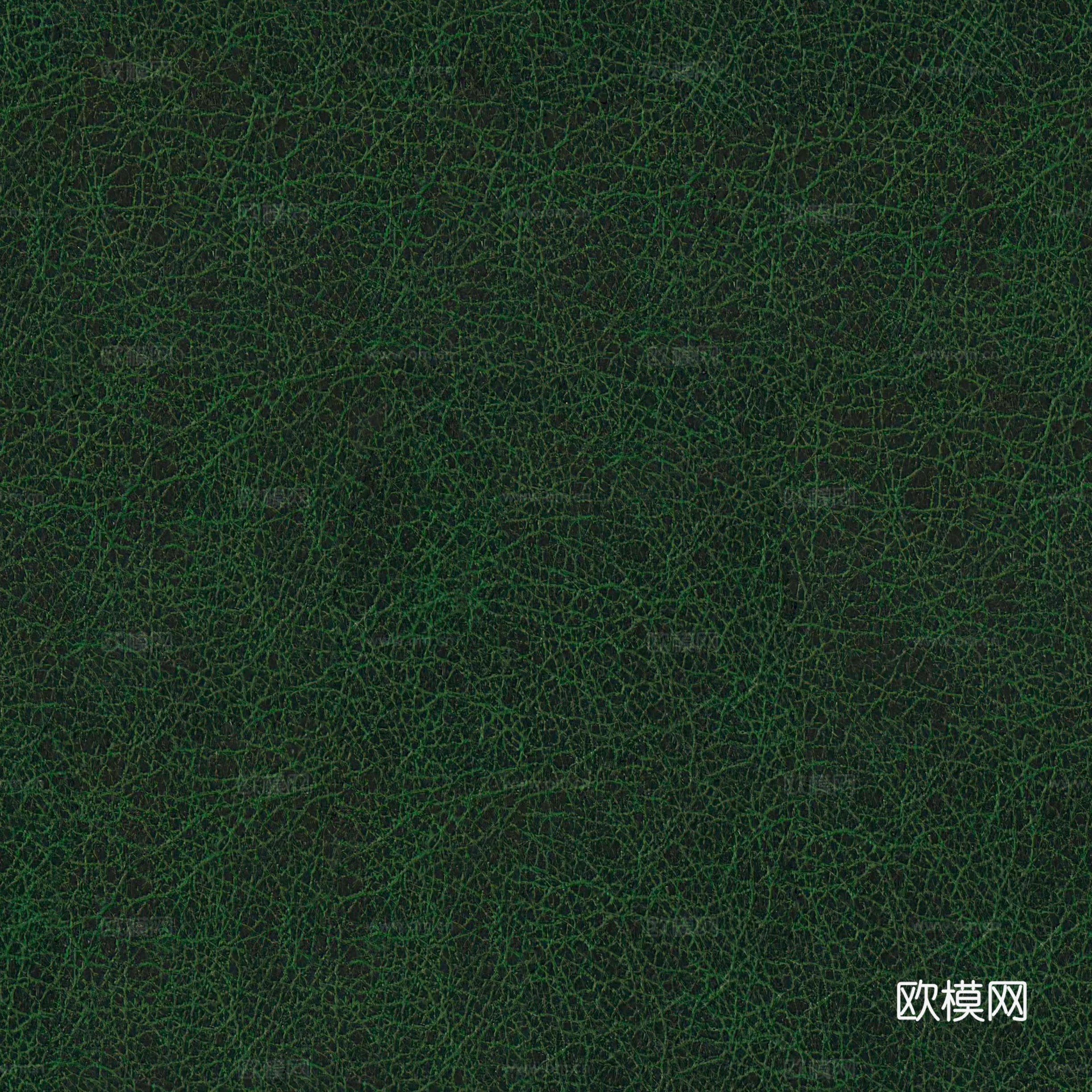 无缝绿色细纹皮革