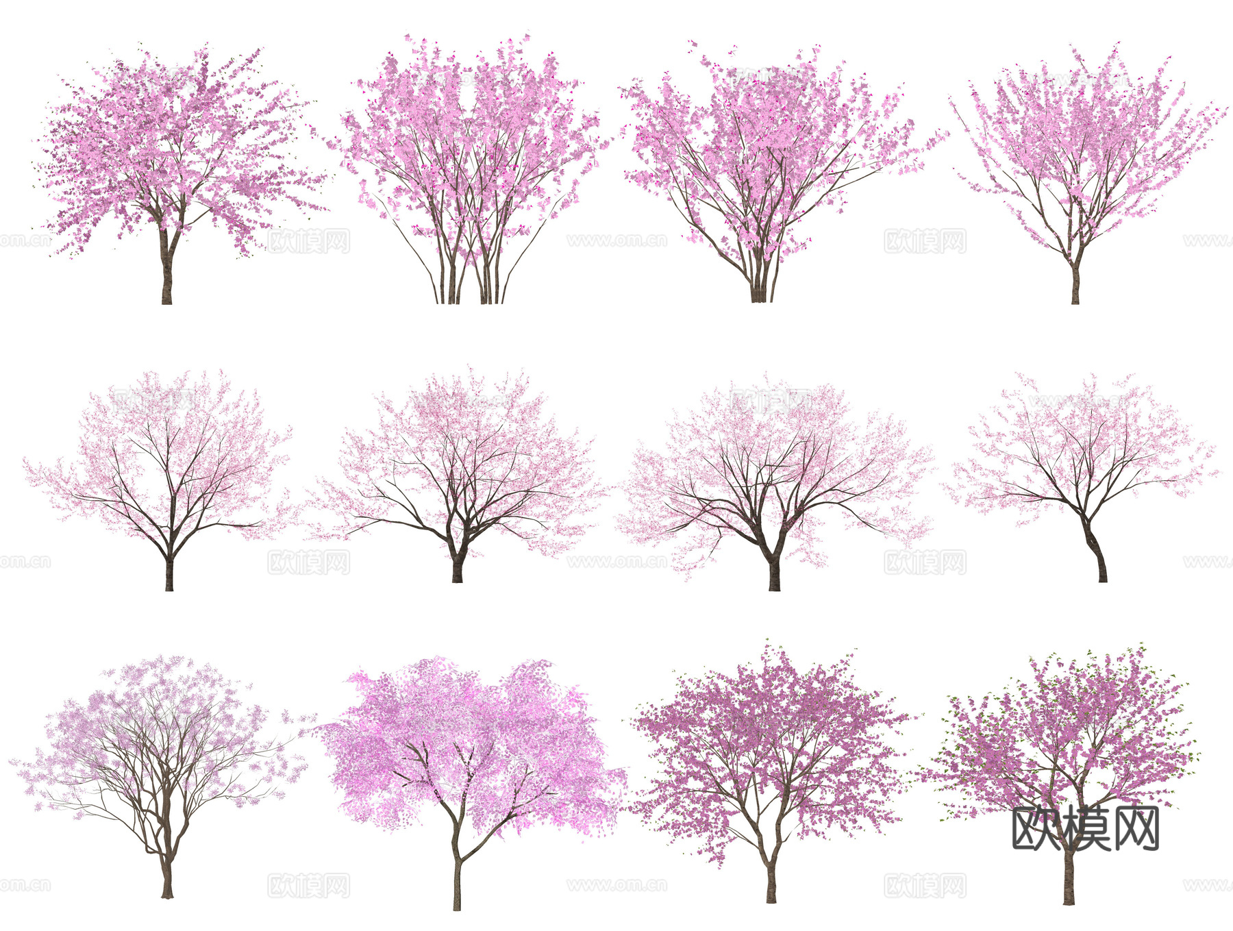 现代樱花树 桃花树 色叶树 景观树 杏花树 粉色花树 小乔木su模型