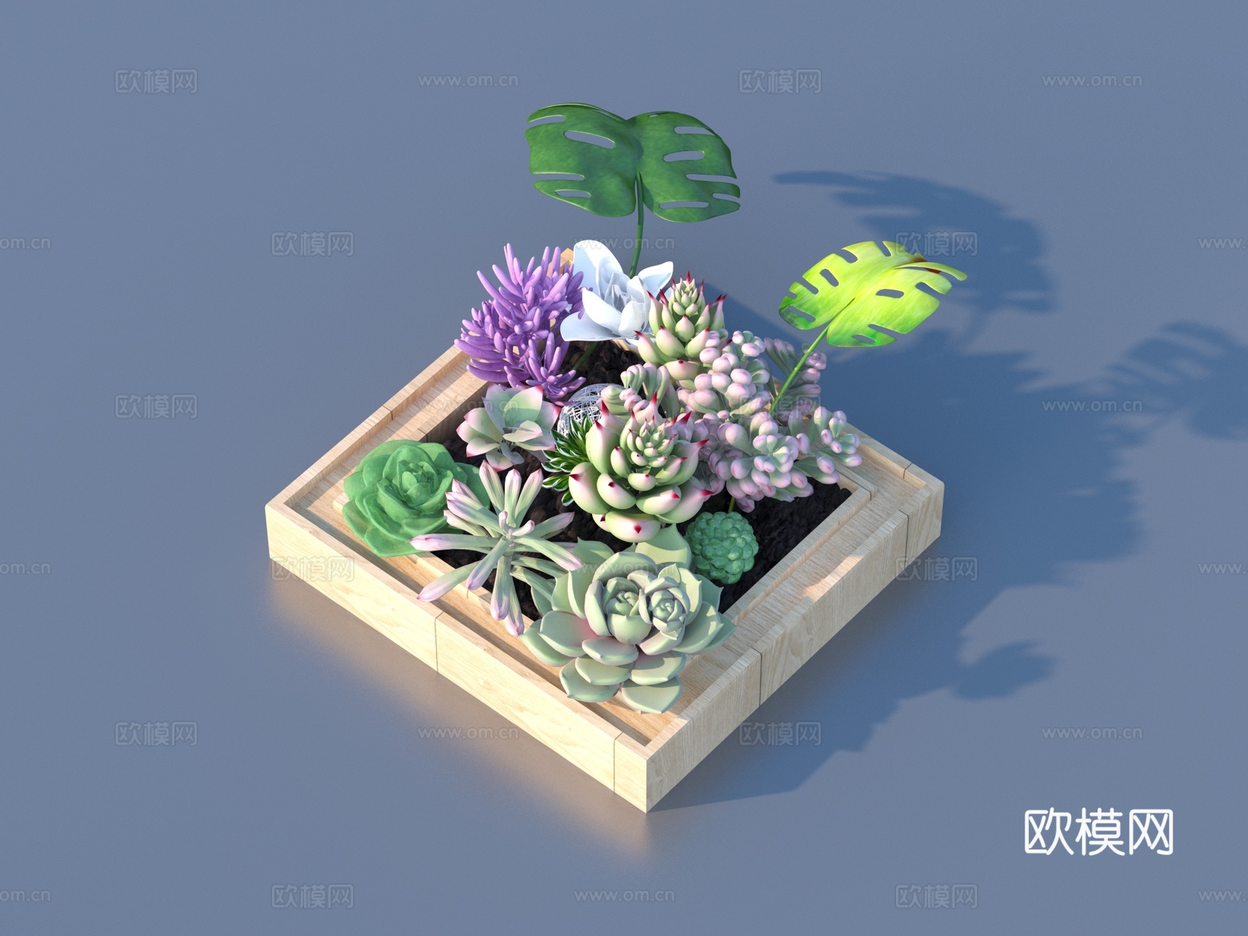花盆 盆栽 绿植 植物3d模型