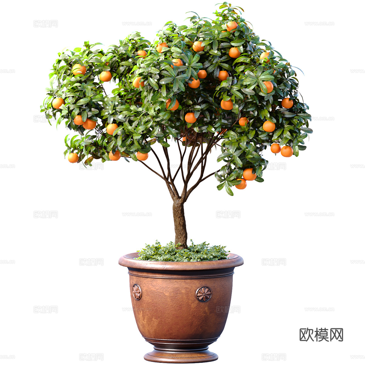 新中式柑橘盆栽3d模型