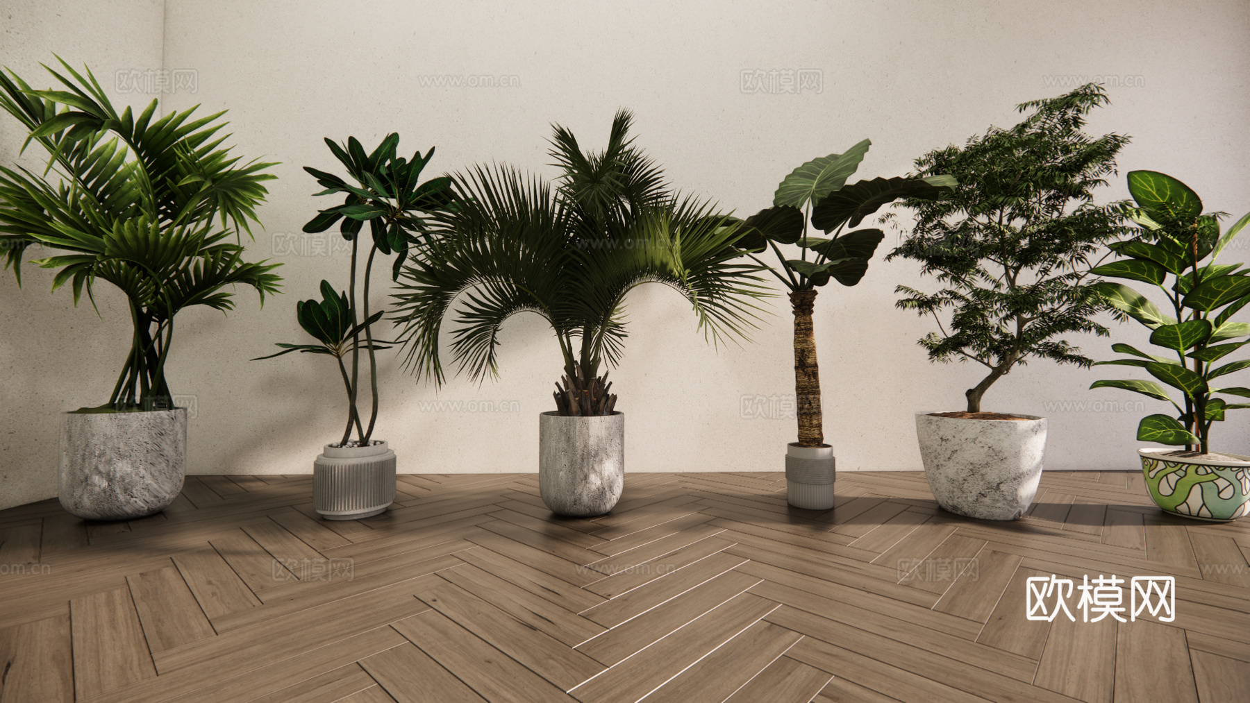 现代森系植物盆栽组合 绿植盆栽 盆景 阳台植物su模型