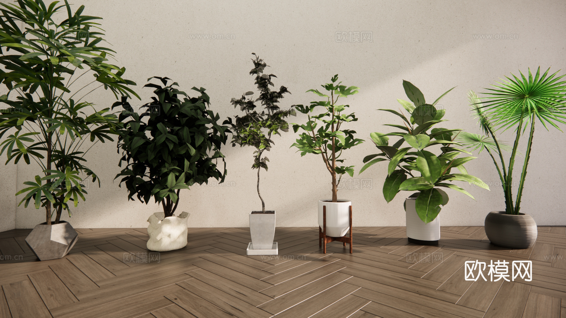 现代森系植物盆栽组合 绿植盆栽 盆景 阳台植物su模型