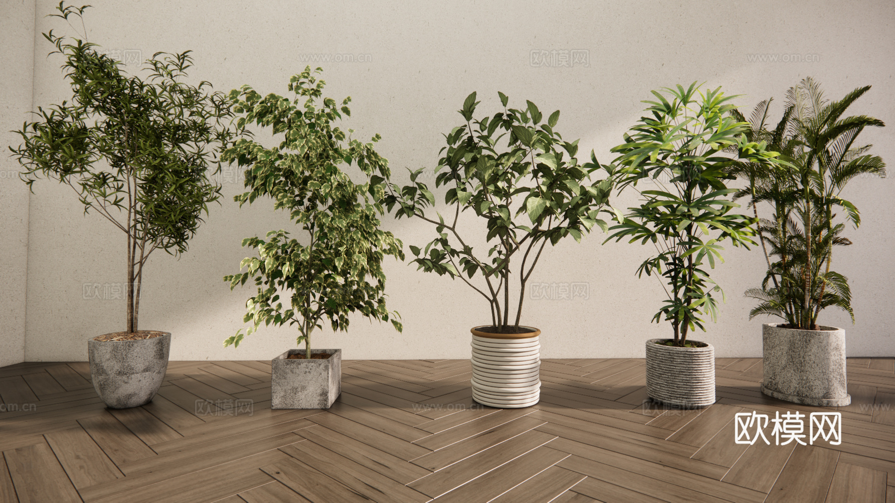 现代森系植物盆栽组合 绿植盆栽 盆景 阳台植物su模型