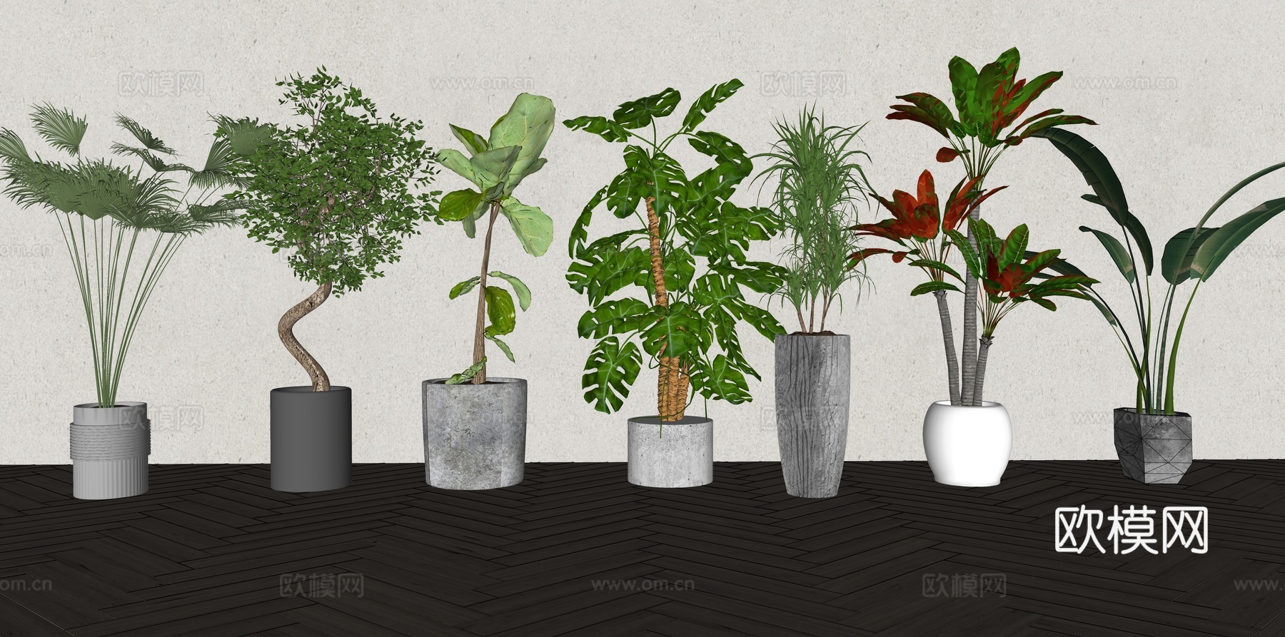 现代森系植物盆栽组合 绿植盆栽 盆景 阳台植物su模型
