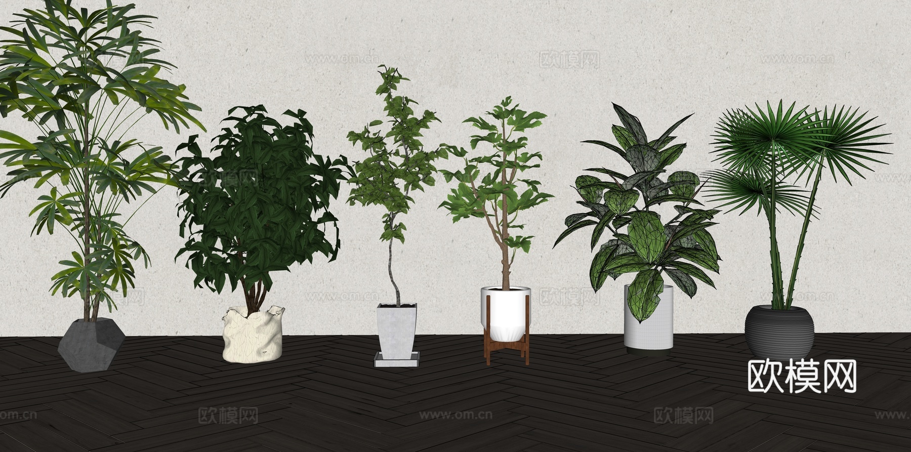 现代森系植物盆栽组合 绿植盆栽 盆景 阳台植物su模型
